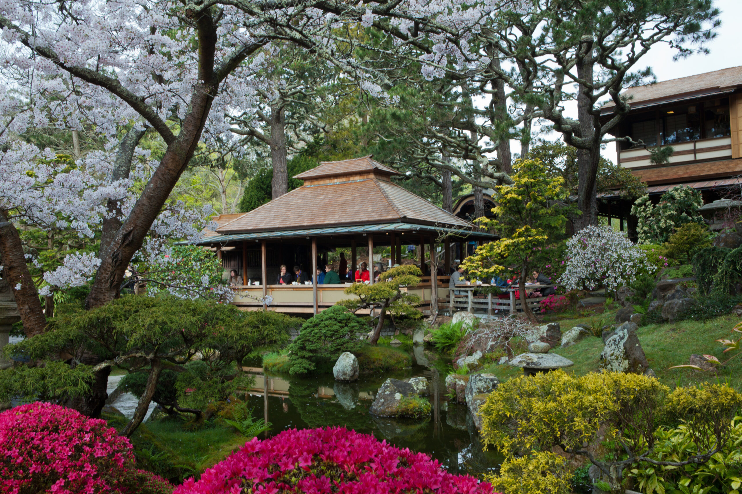 If You Live in SF, Golden Gate Park’s Coolest Gardens Will Soon Be Free
