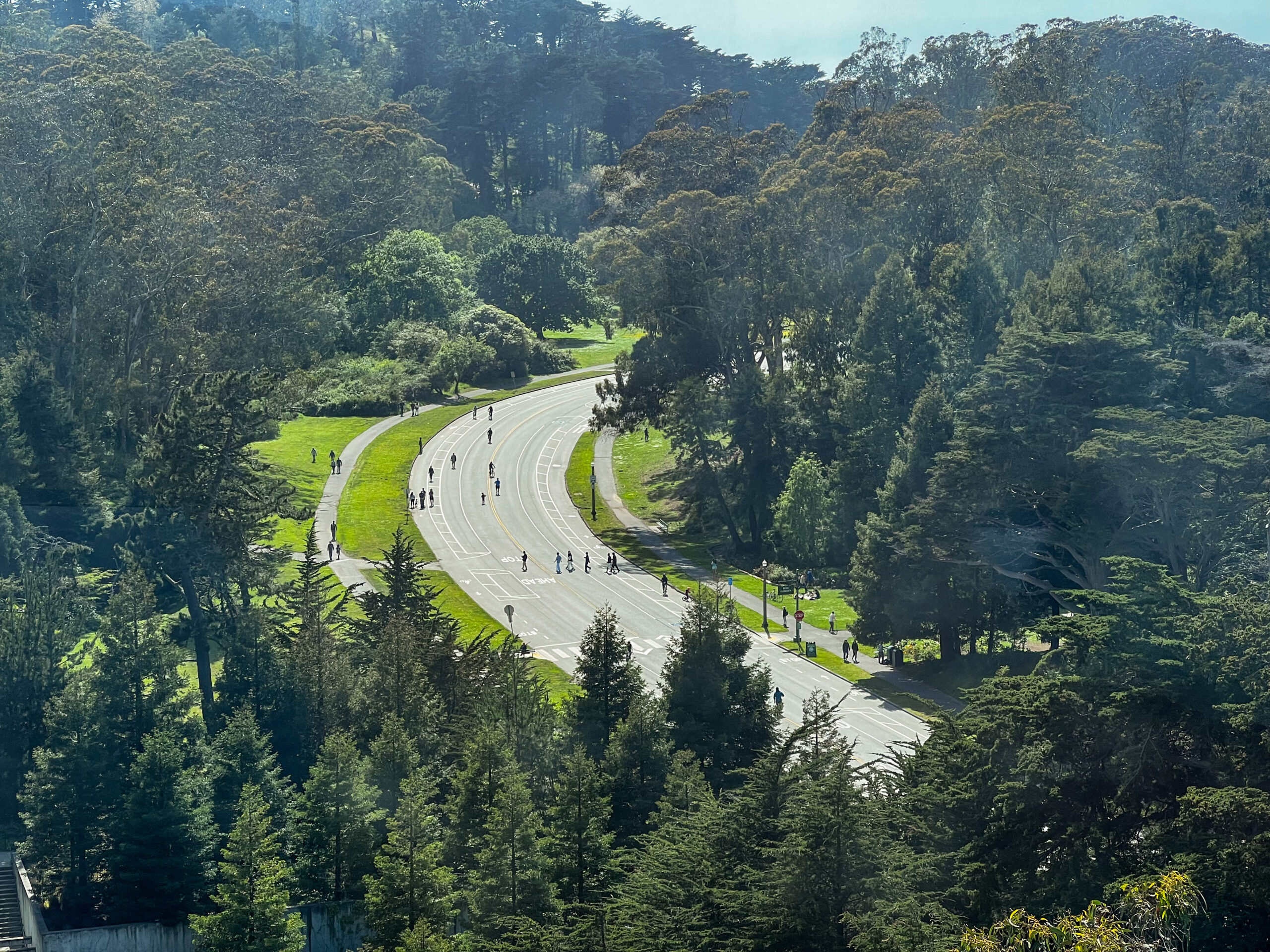 74-Year-Old Found Dead in San Francisco’s Golden Gate Park