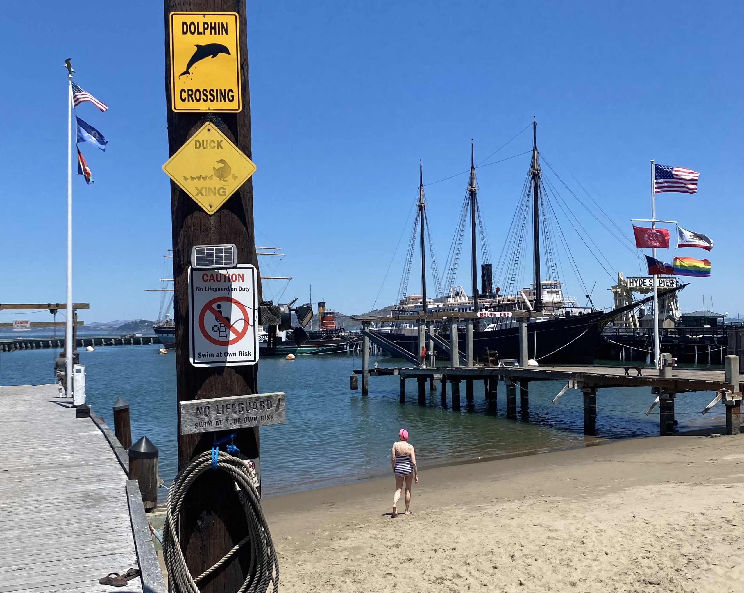 People walk on the beach towards the pier where the boat is. Signs warn that there are no lifeguards and humorously illustrate the animals crossing.
