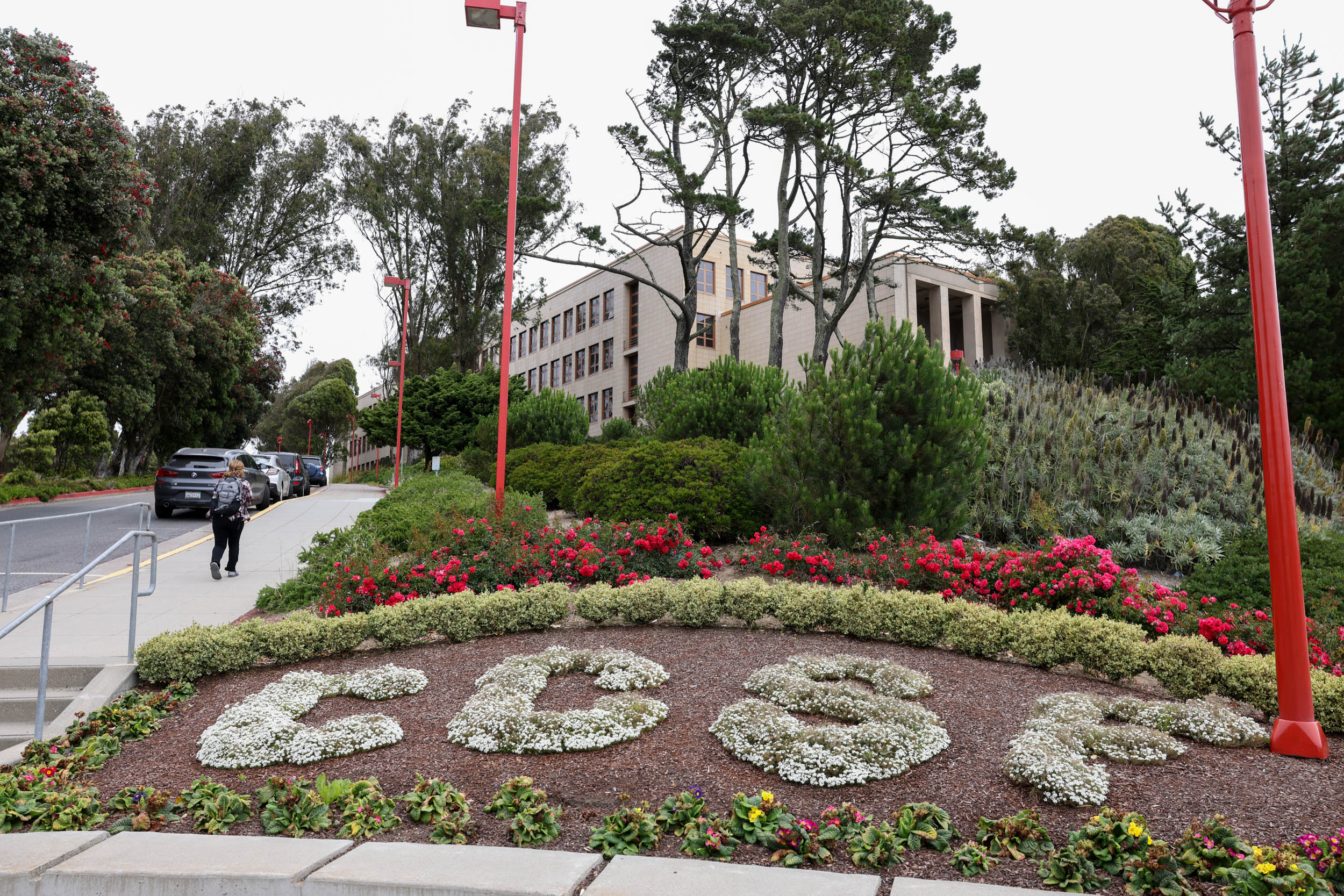 A bed of flowers planted in the shape of the letters "CCSF."