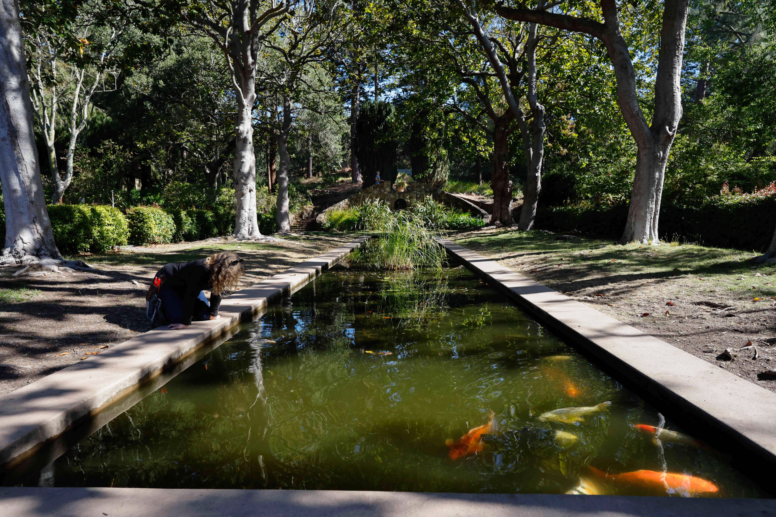 Journeys: A day in the UC Berkeley garden that’s actually a secret