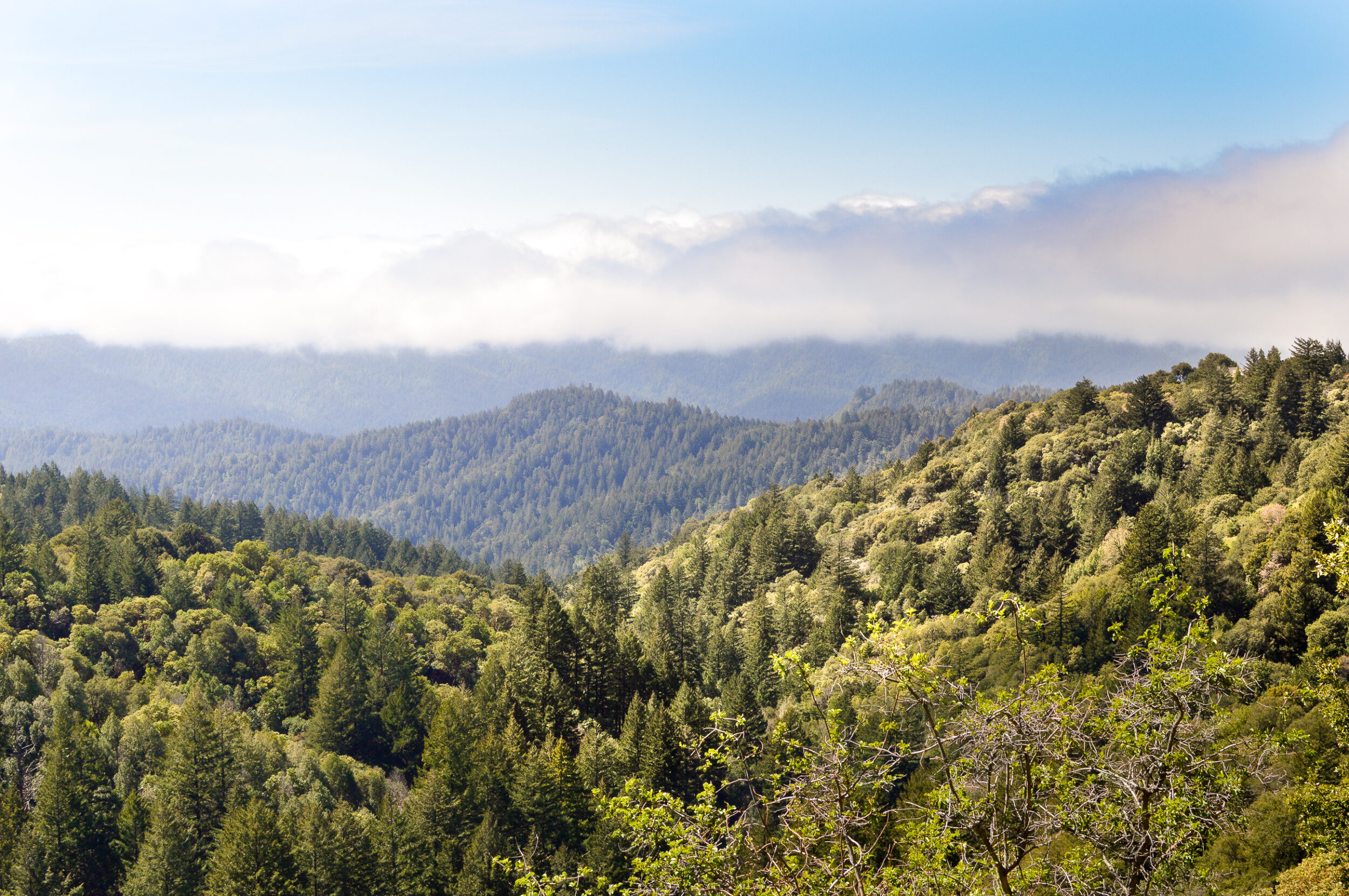 Rolling forested hills under a hazy sky with clouds nestled between peaks.