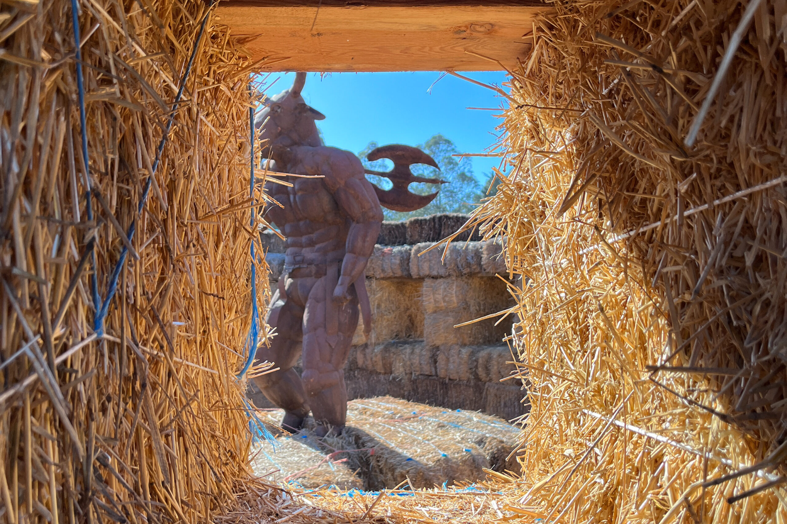 Experience the Best Hay Maze in the Bay Area