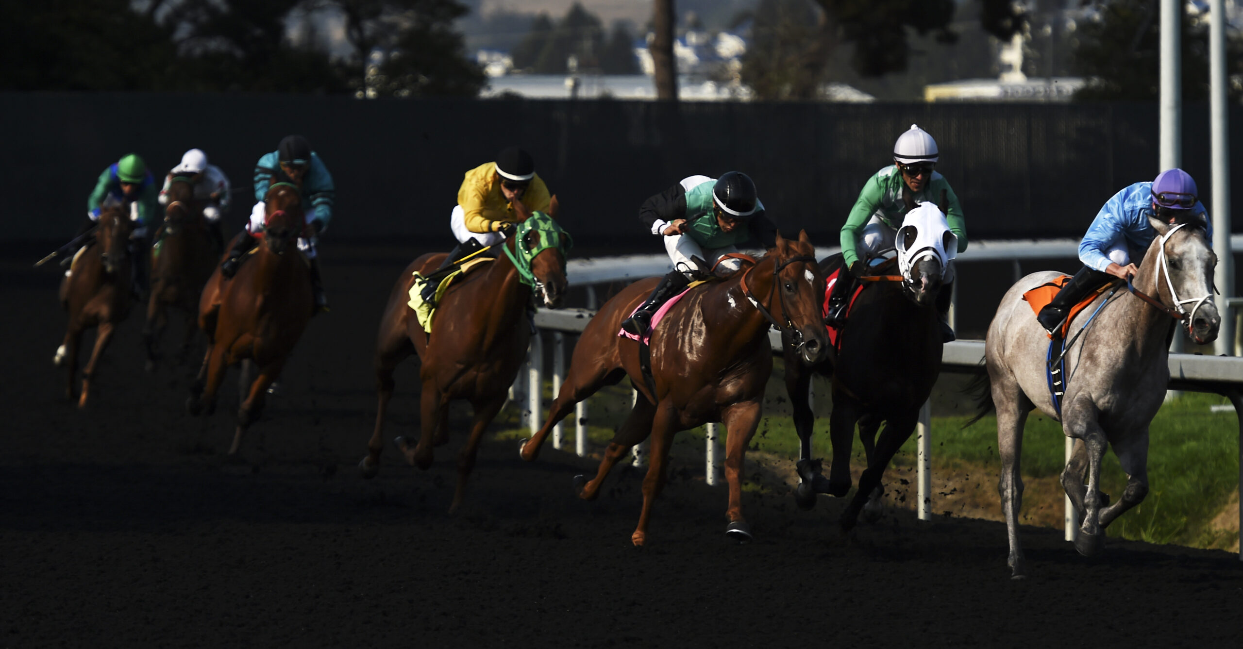 Golden Gate Fields Horse Racetrack To Remain Open Until 2024: Report