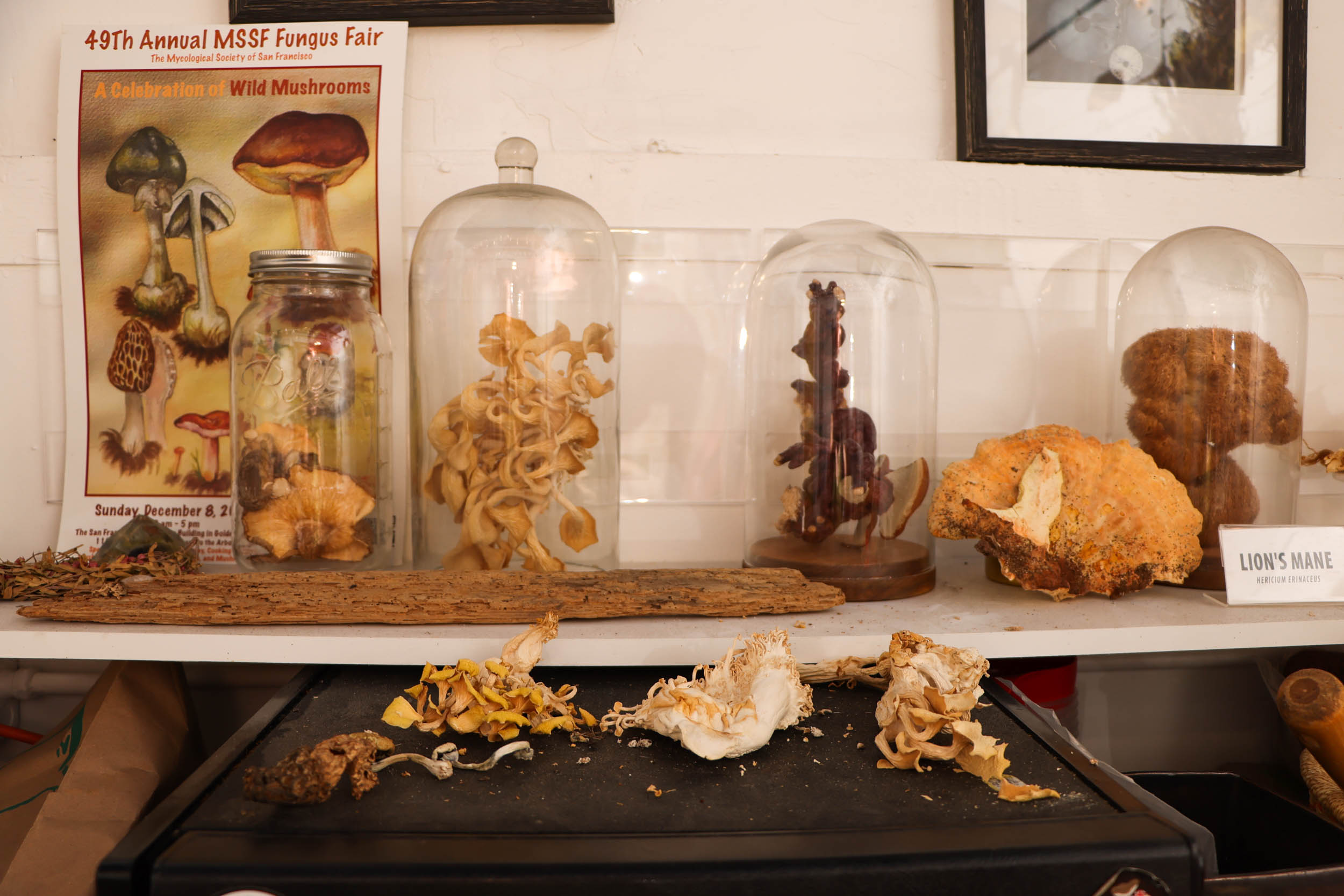 San Francisco has effectively decriminalized magic mushrooms. Now what?