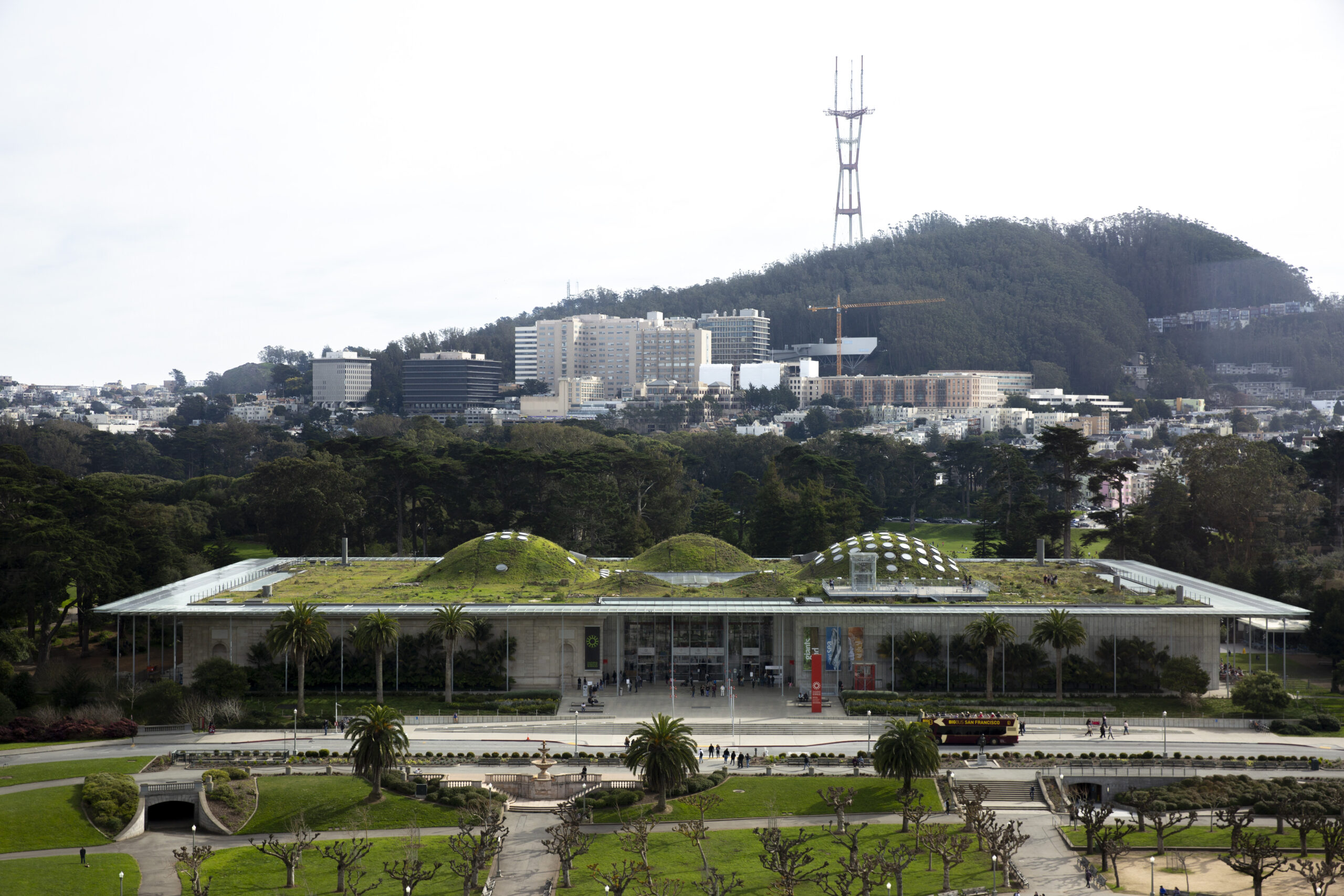 Cal Academy Museum Workers Vote to Unionize