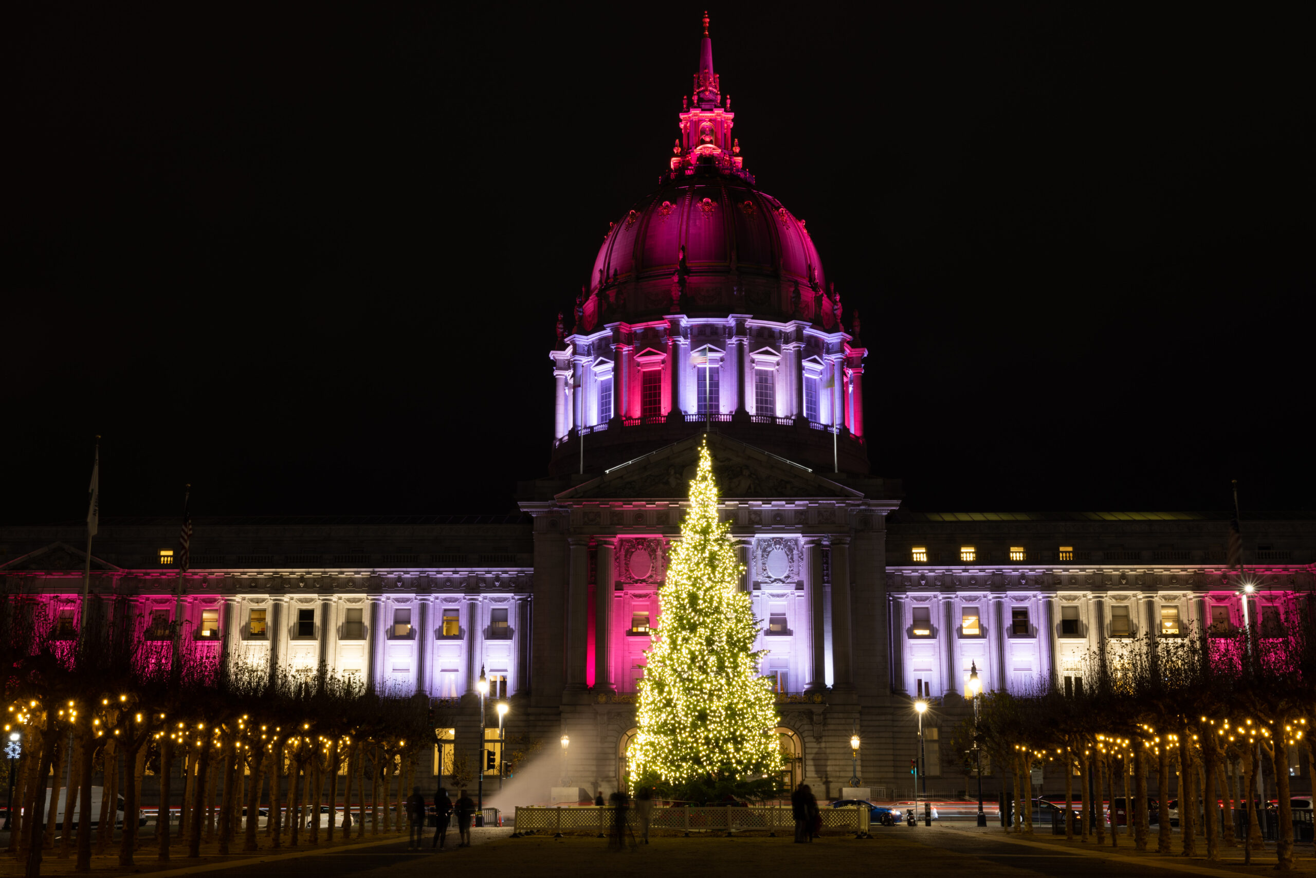 A christmas tree in front of city hall.