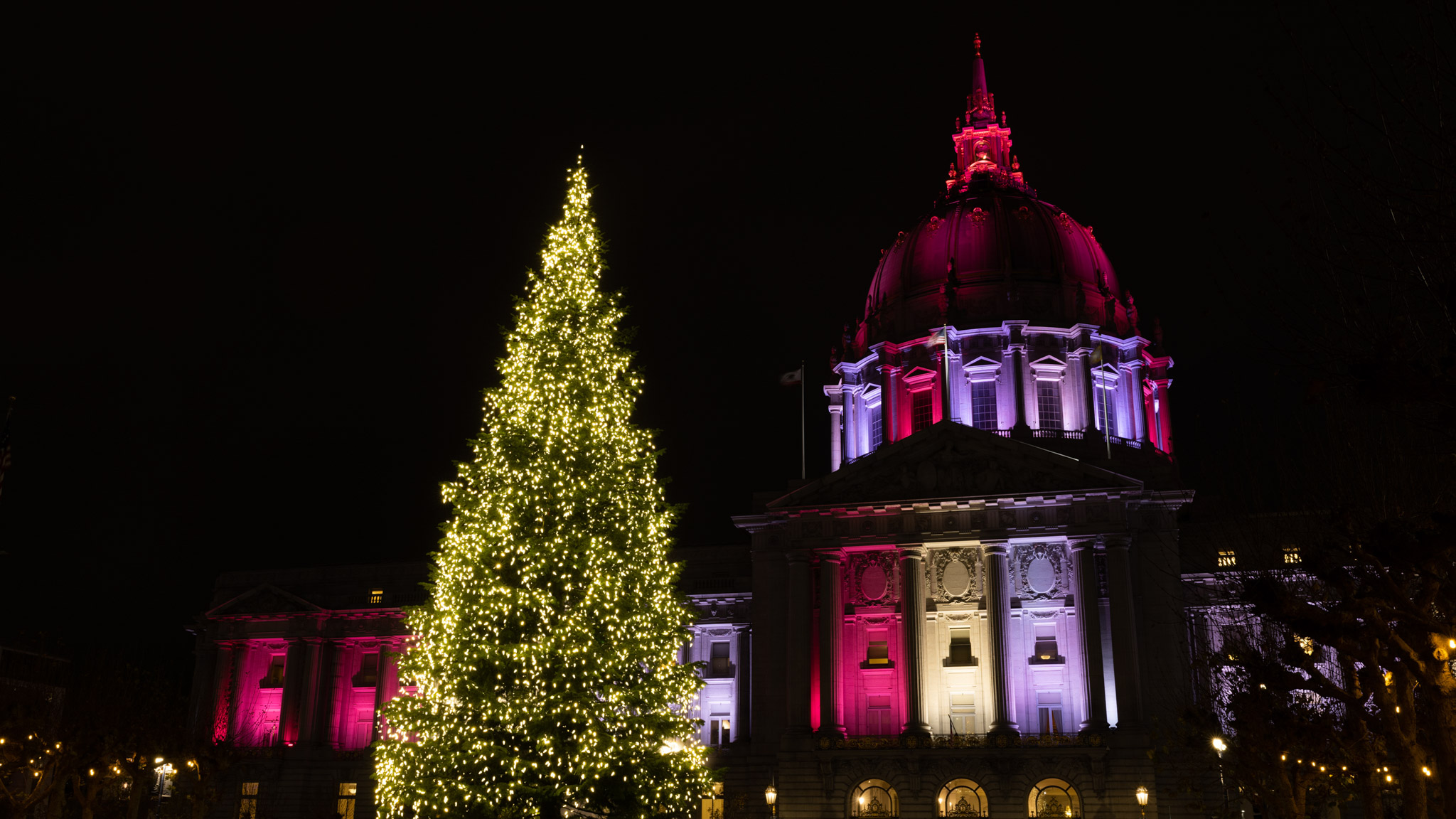 An illuminated Christmas tree stands in front of a lit up San Francisco City Hall at night on Dec. 9, 2022.