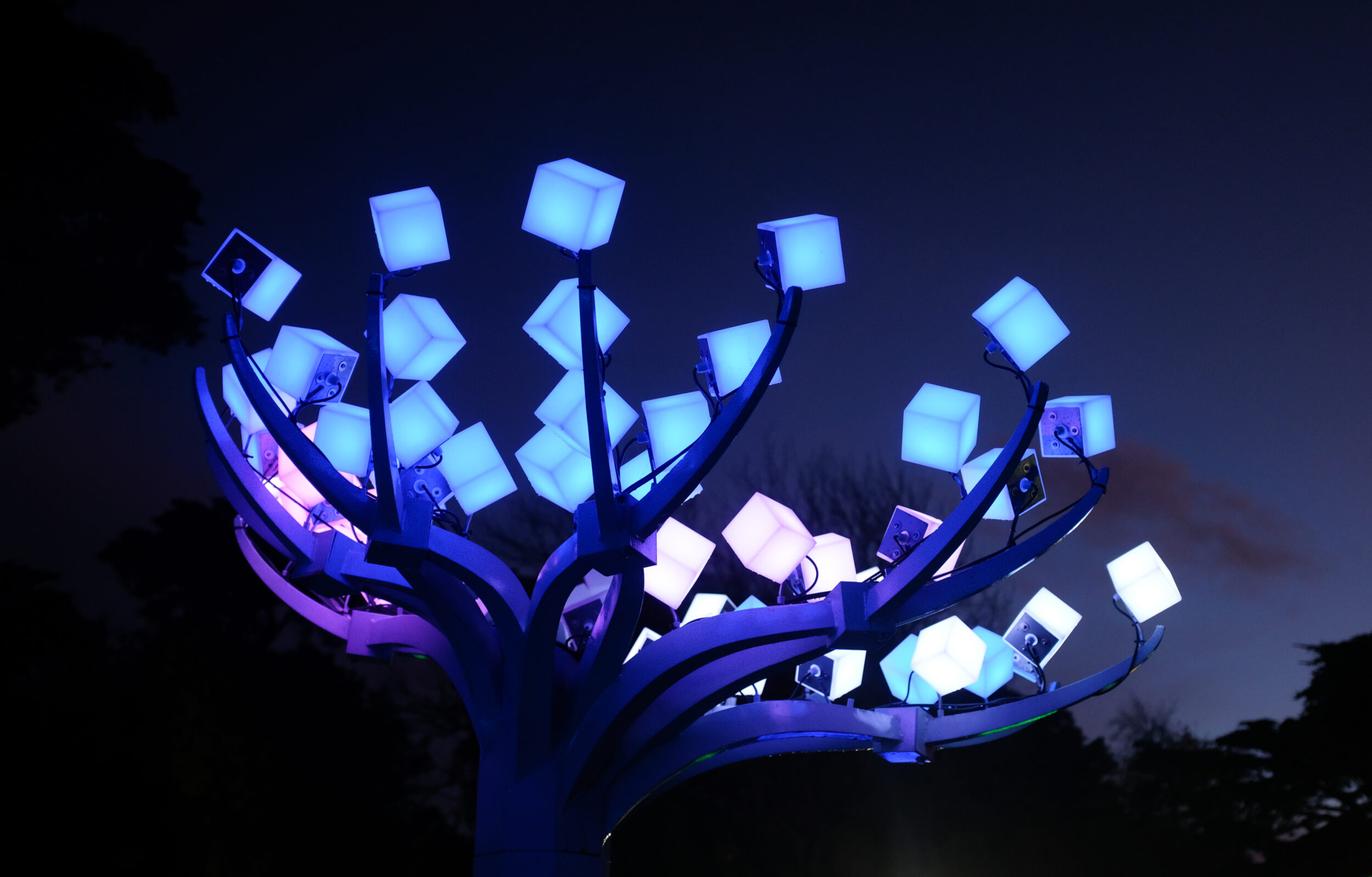 An illuminated light art installation shaped like a tree glows in San Francisco's Golden Gate Park.