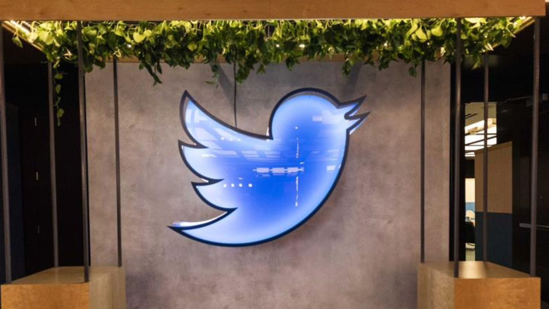 See The Strangest Items Elon Musk Is Selling From Twitter HQ