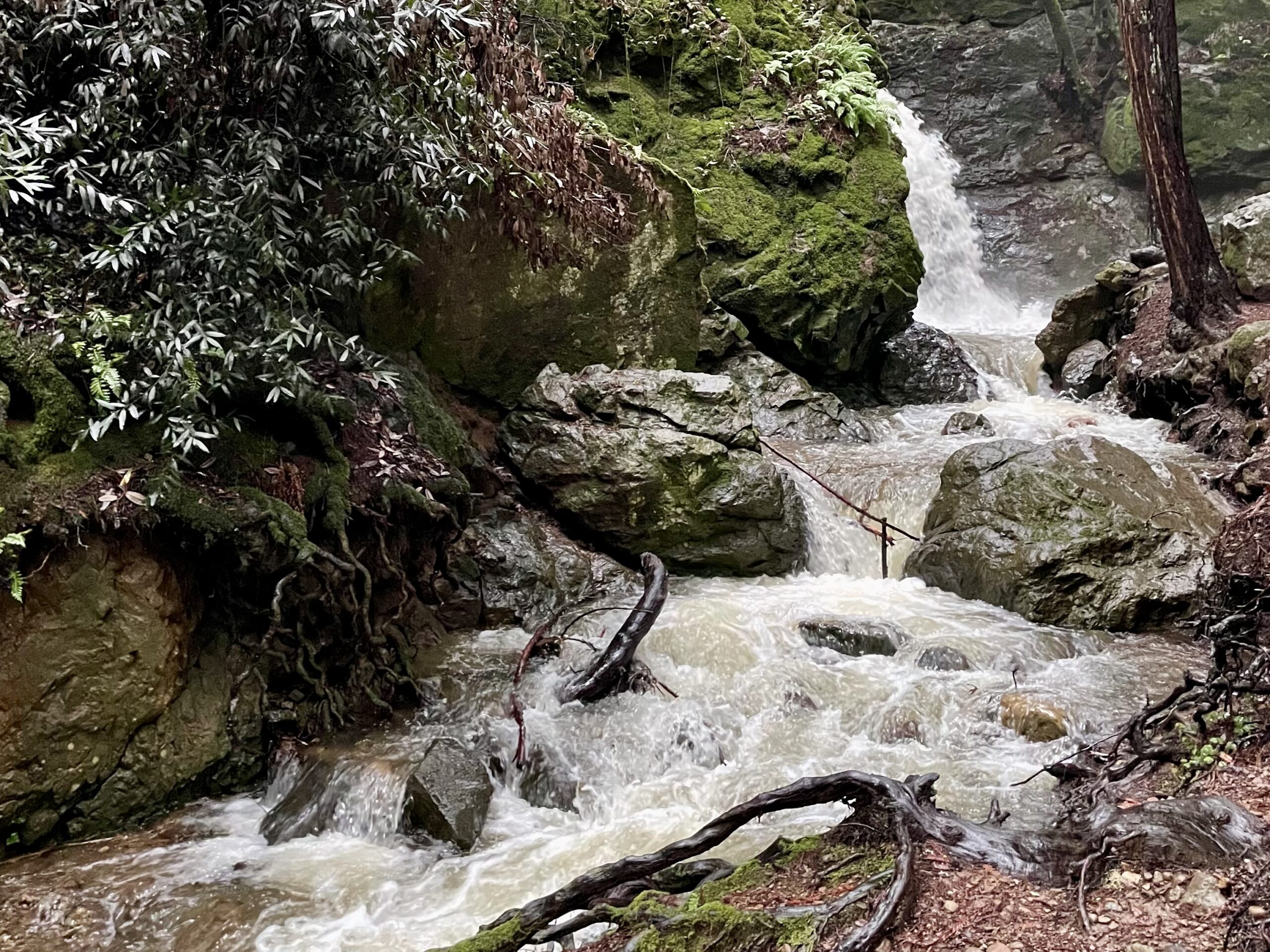 Rapids flow over rocky terrain, surrounded by lush greenery and moss-covered stones.