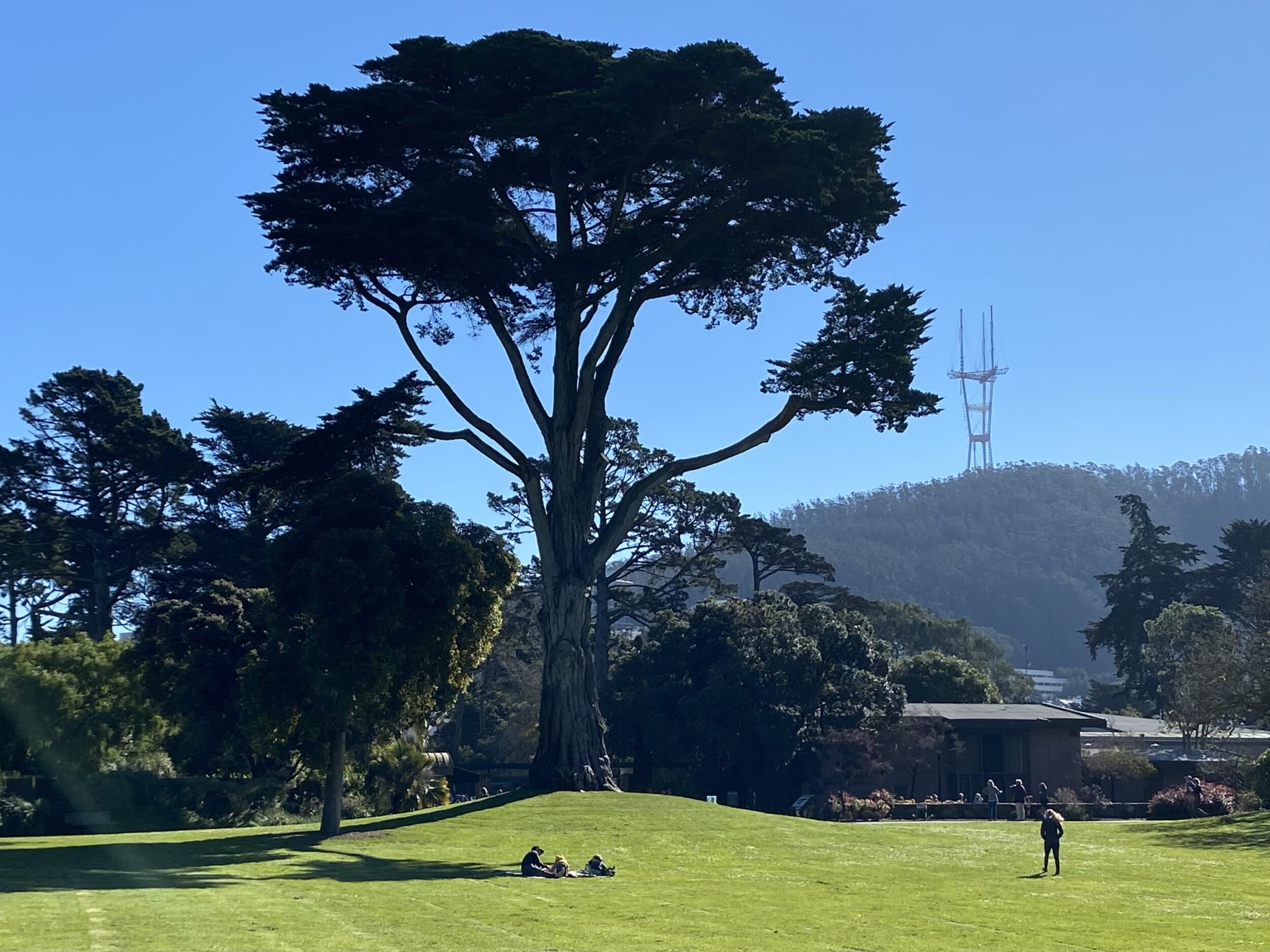 A park with large trees, people relaxing on grass, and a distant hill with a tall tower.