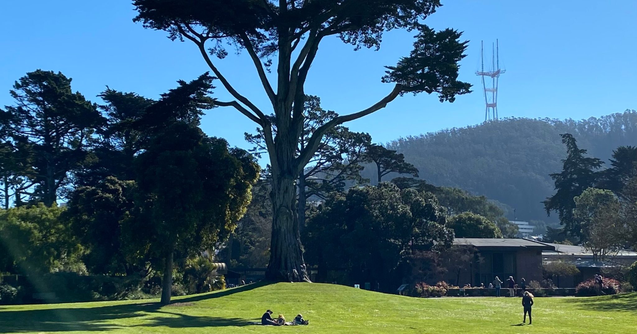 San Francisco traffic deaths: Motorcyclist killed in Golden Gate Park crash