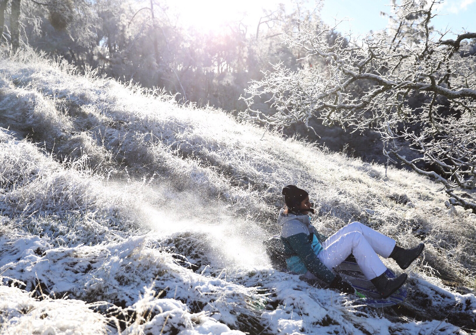 Easy Places To Go To See the Rare Bay Area Snow