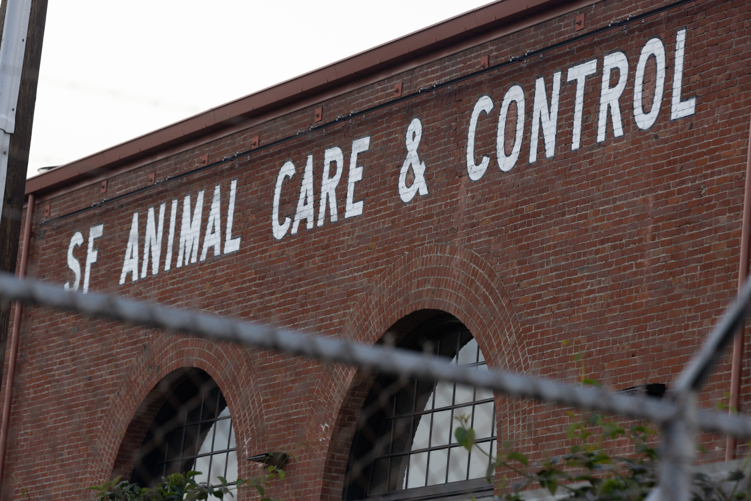 A fence surrounds the perimeter of the parking lot at San Francisco Animal Care and Control (SF ACC) in San Francisco, Calif., on Thursday, Feb. 2, 2023.