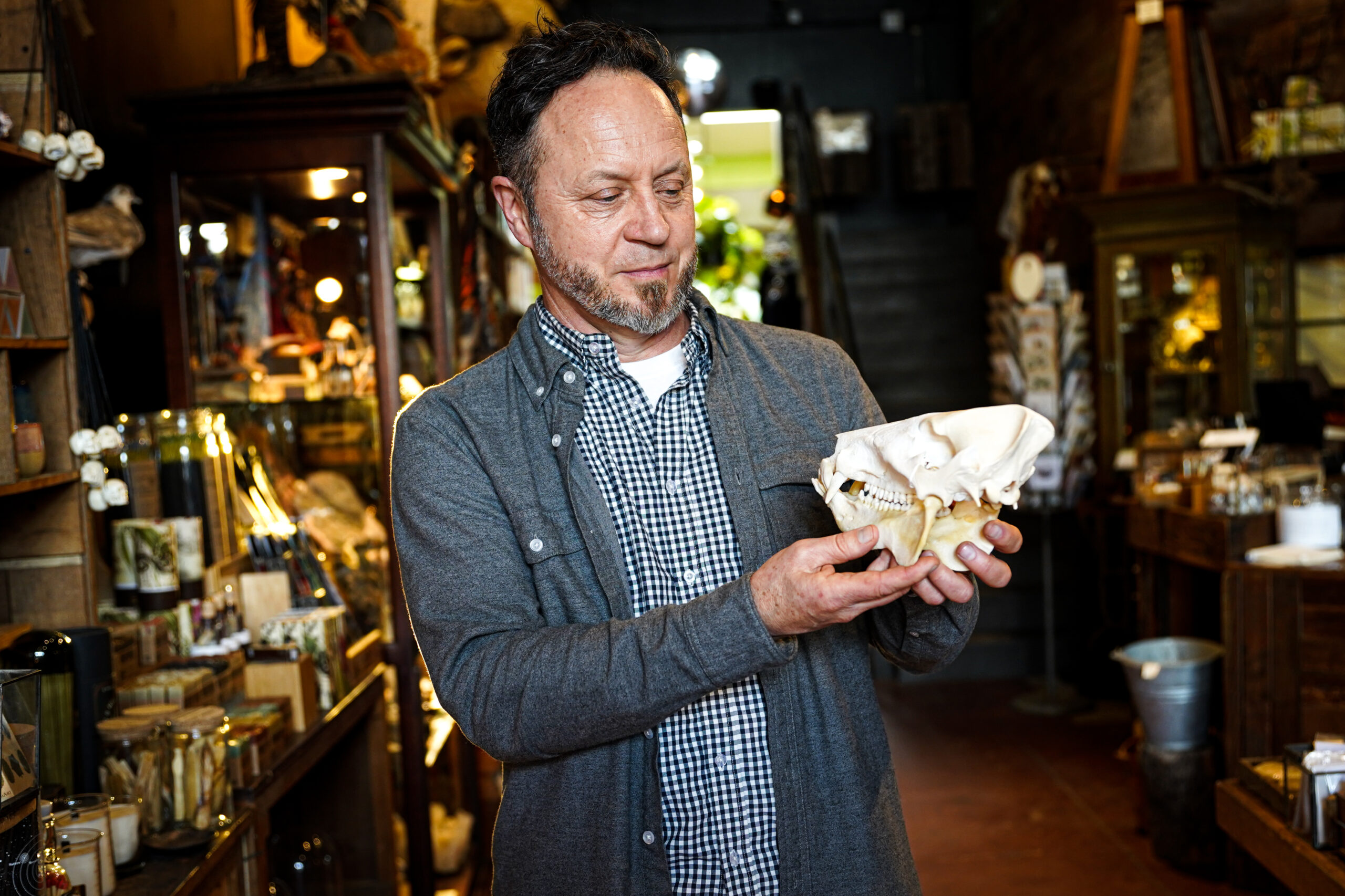 Peek Inside This SF Boutique Selling Taxidermy, Butterflies and Bones