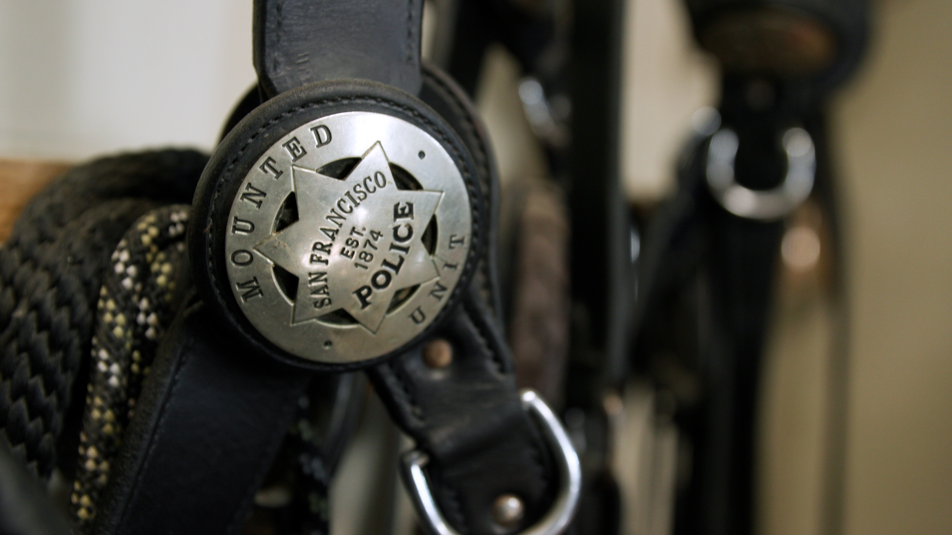 Meet the Horses of SF's Mounted Police Unit, the Second Oldest in the U.S.