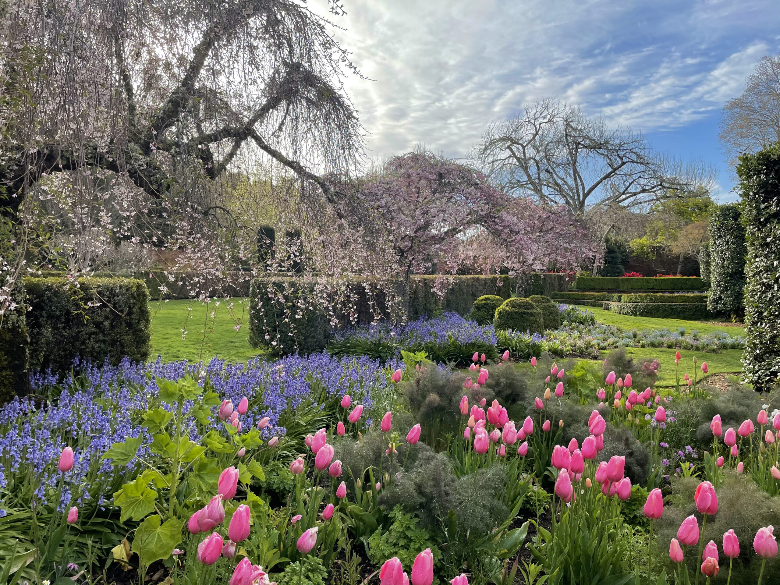 Stroll Through an Explosion of Spring Flowers at the 15 Best Gardens in the Bay Area