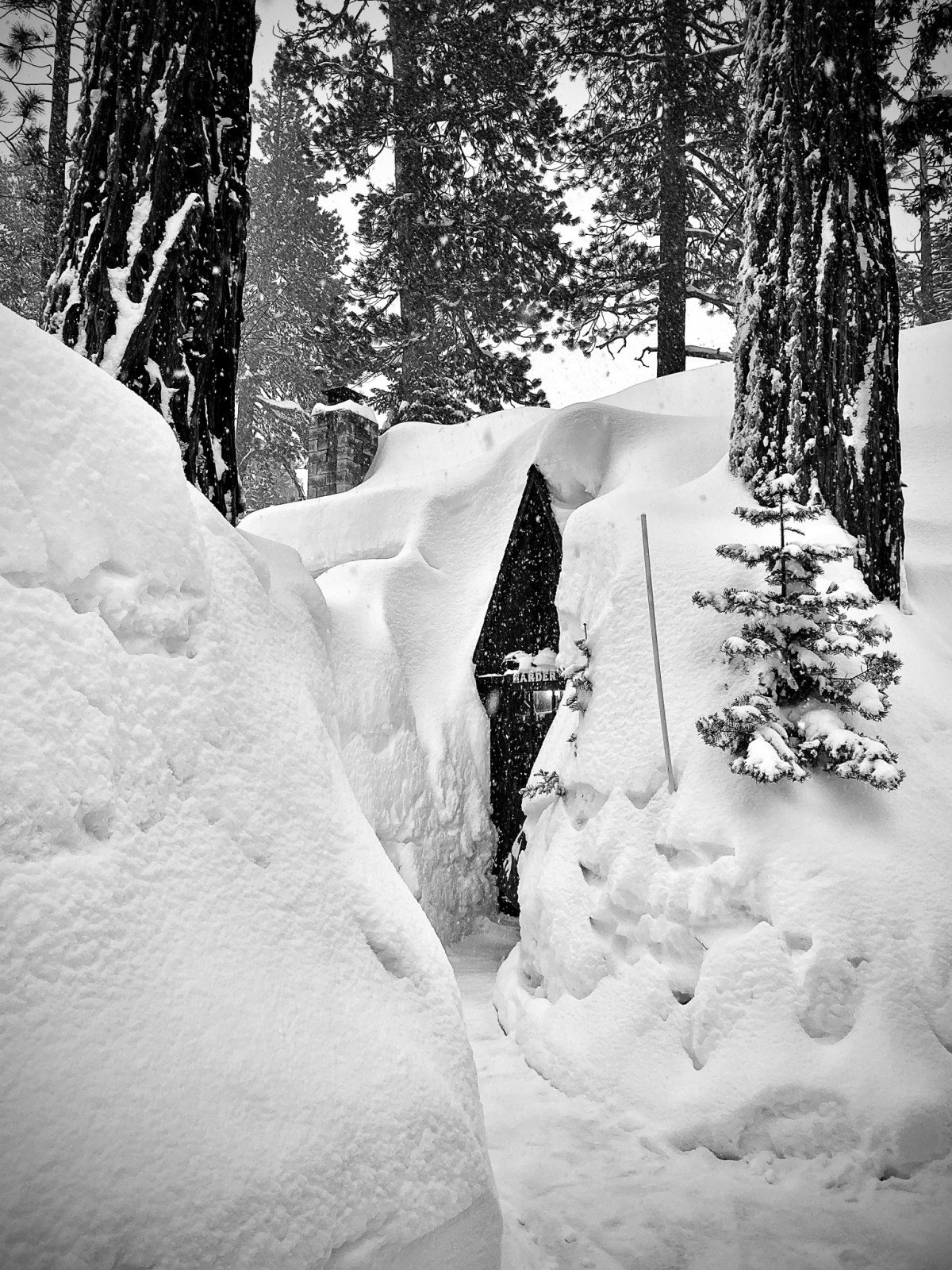 9 Surreal Photos of Tahoe Inundated With Snow