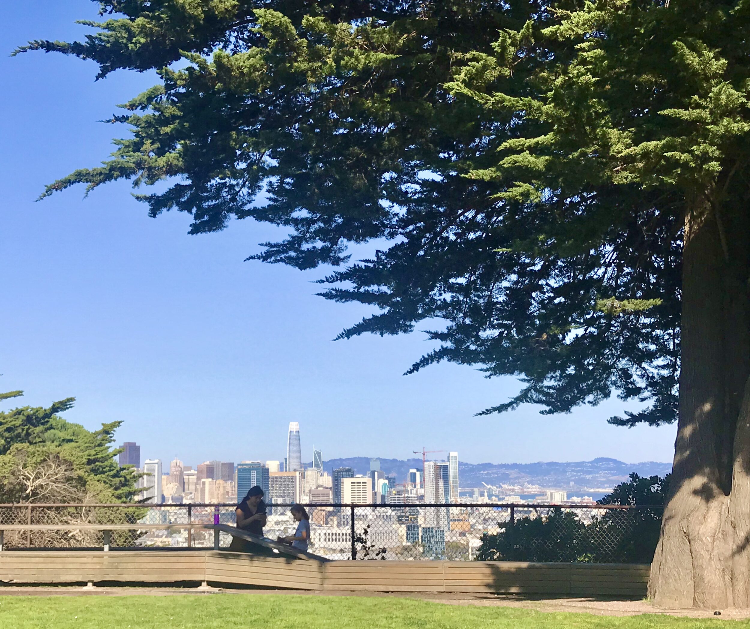 A woman and a little girl are sitting on a bench against a backdrop of the San Francisco skyline near a large tree.