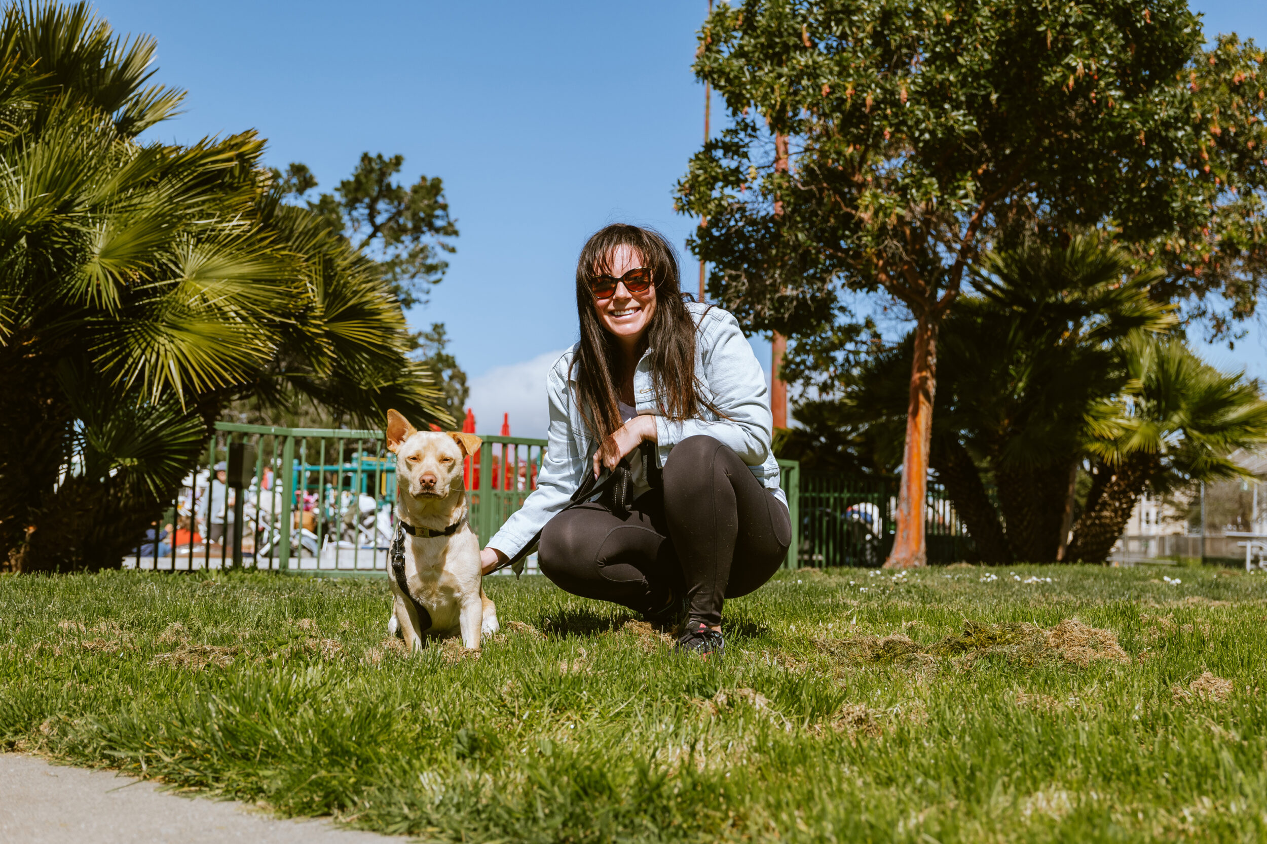 A woman and a dog pose together on sunny grass, with trees and a playground in the background.