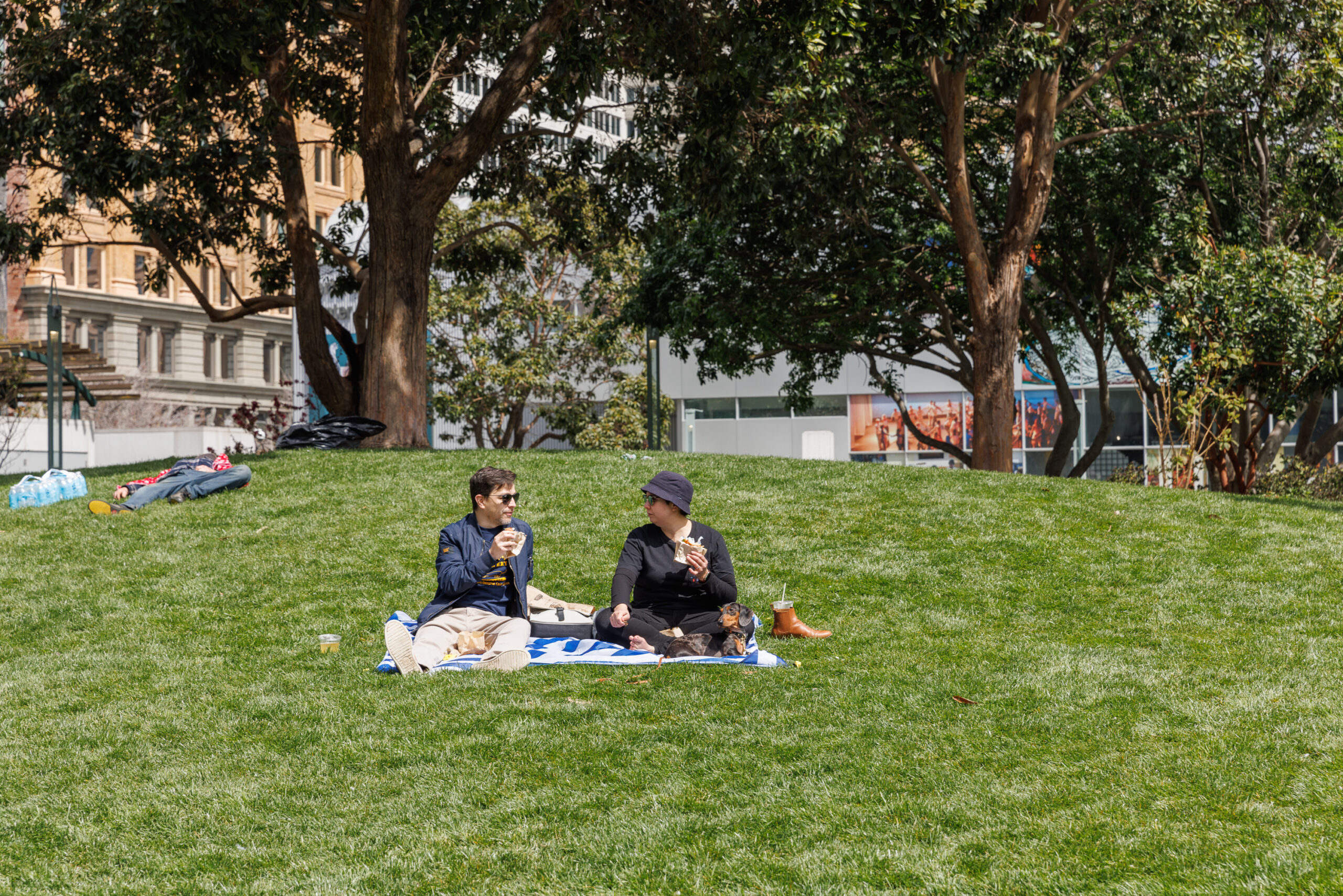 Two people are sitting on a picnic blanket in a grassy park, chatting, with trees and buildings in the background.