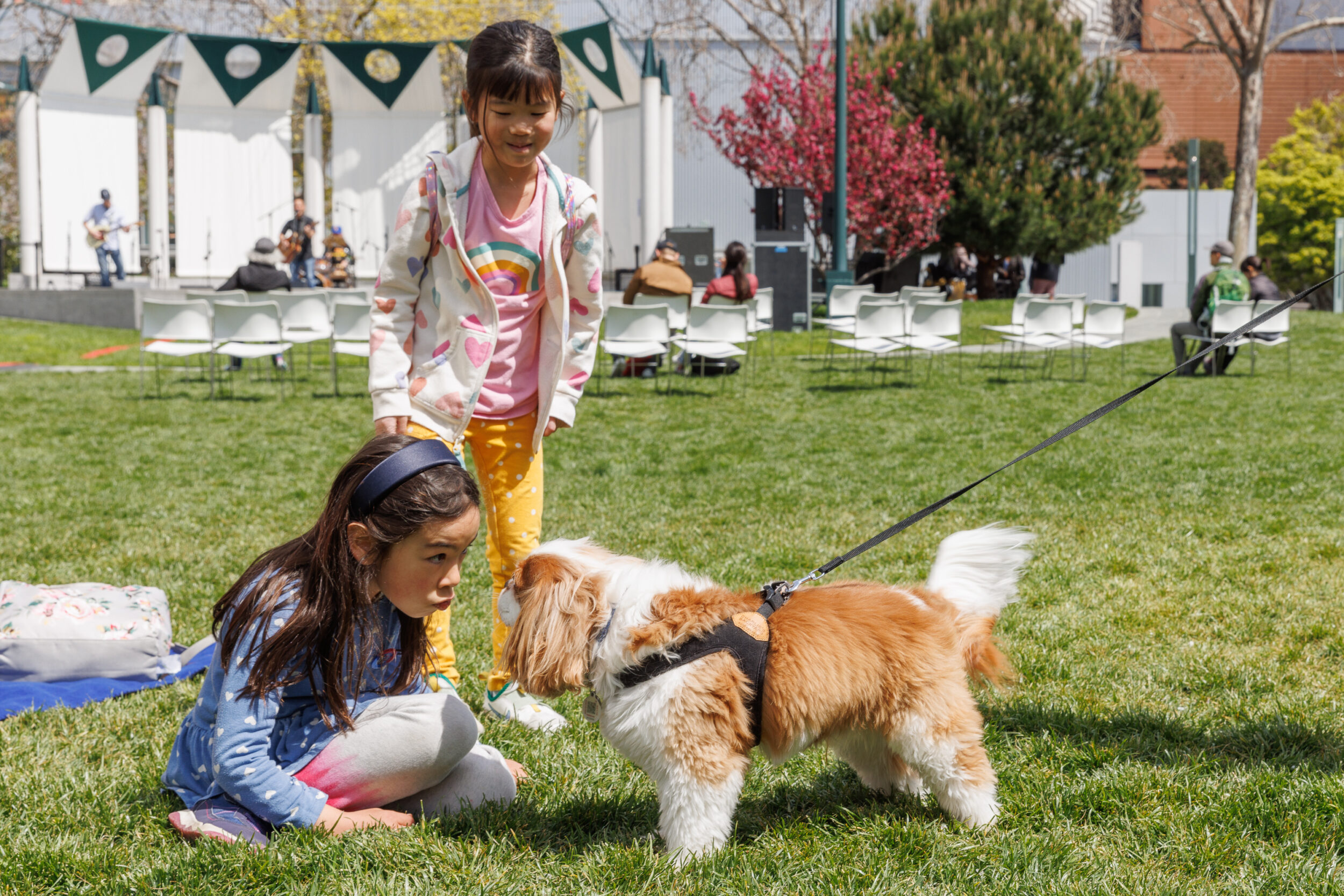 Two girls and a dog in a park with musicians playing in the background. One girl kneels by the dog, another stands smiling.