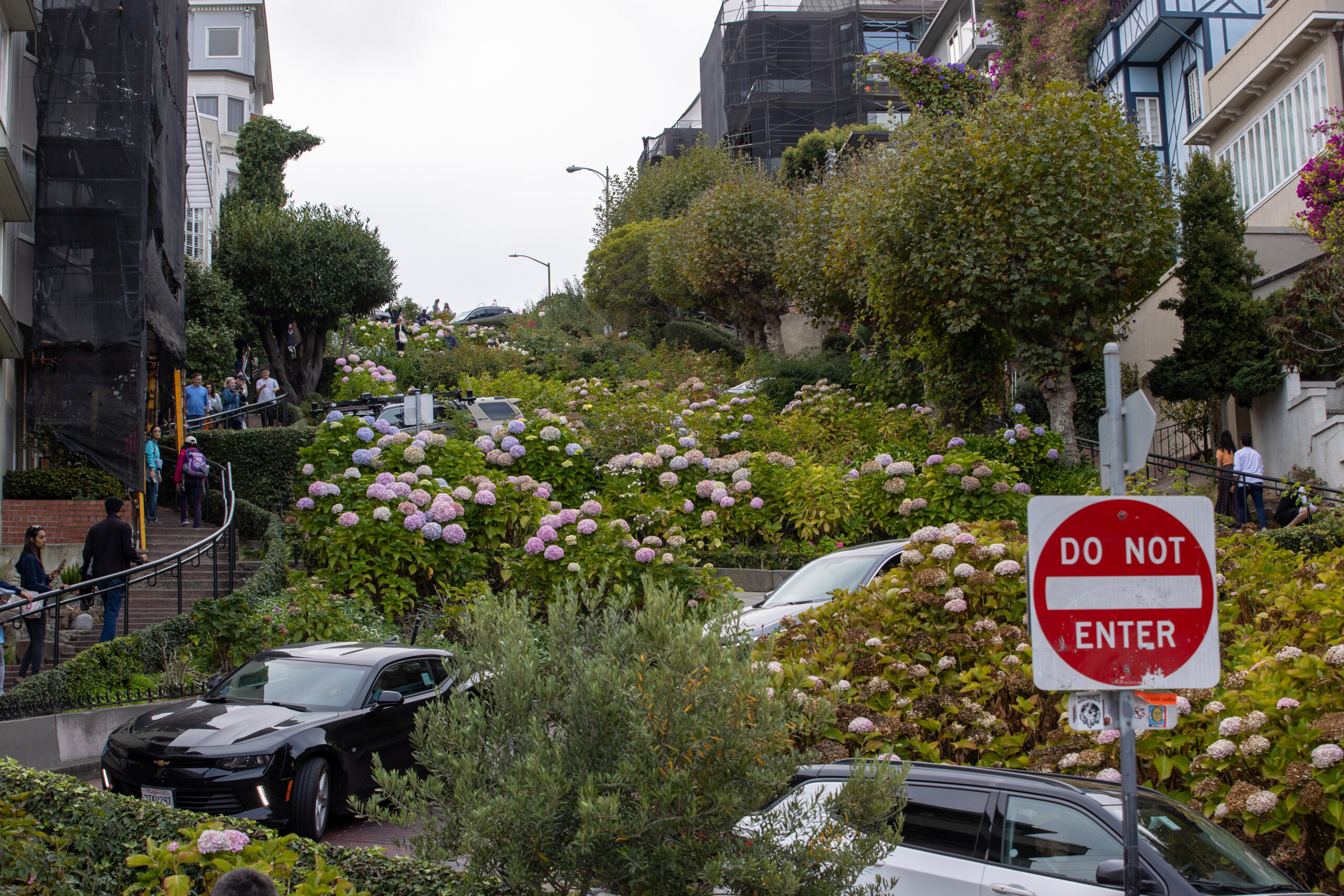 Holy H20! Lombard Street’s New Irrigation System Could Save 175 Tons of Water a Month