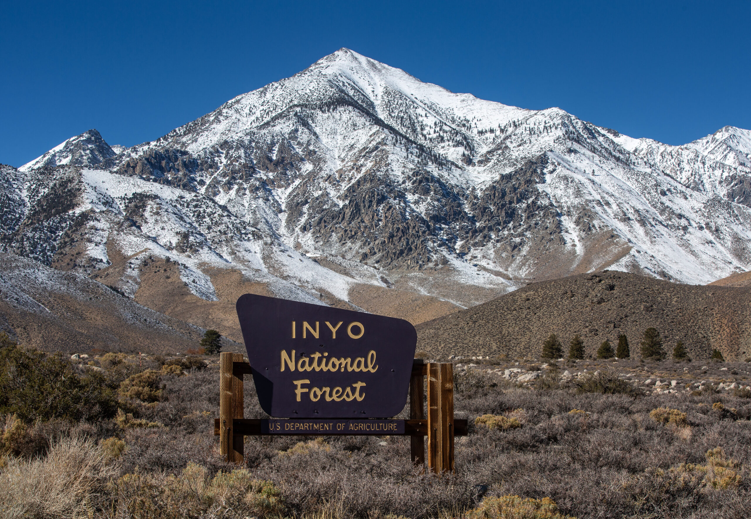 A sign reading &quot;Inyo National Forest&quot; stands amid dry, brushy terrain. Snow-dusted mountains rise sharply behind under a clear blue sky.