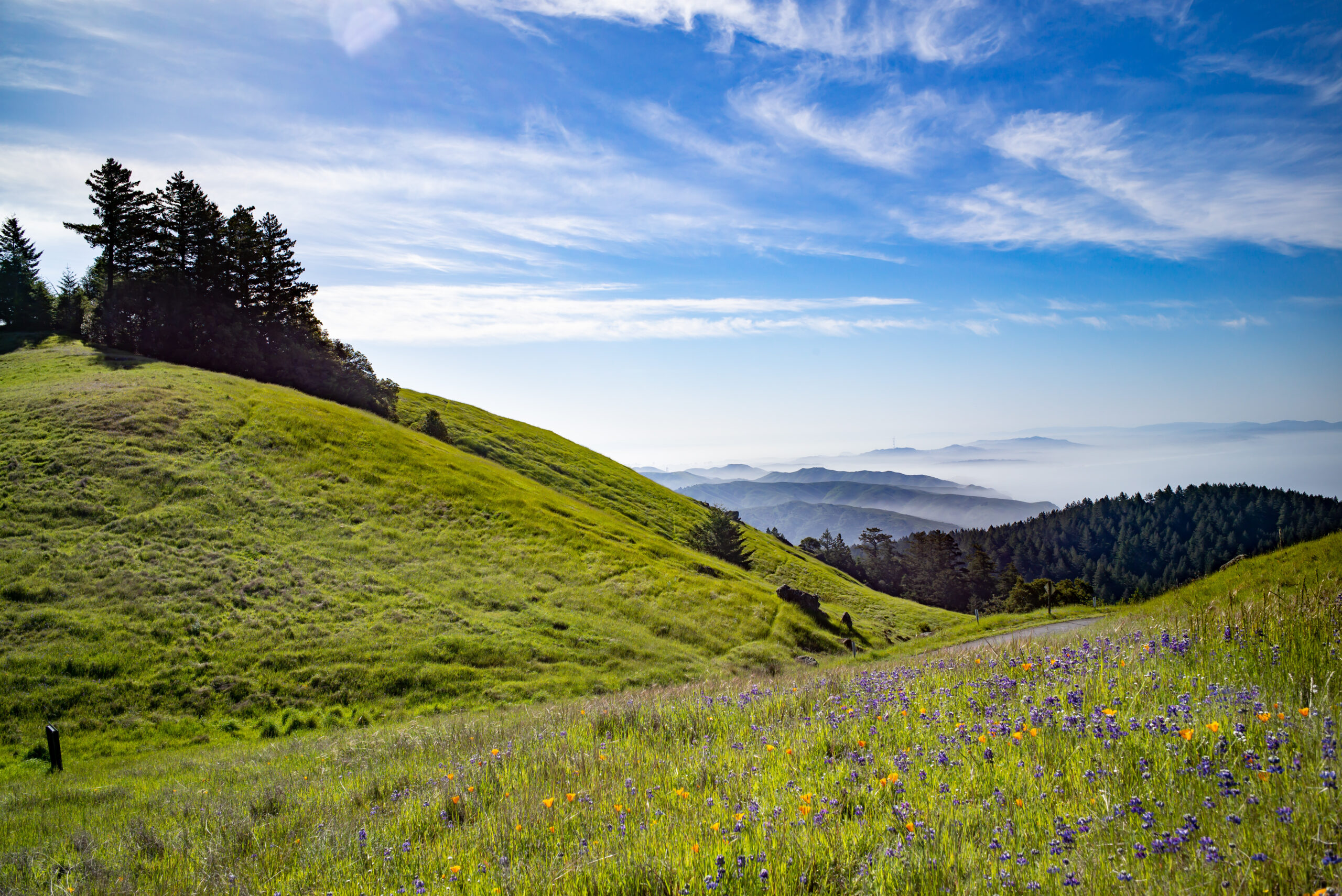 No Car? No Problem! Reach These 3 Great Bay Area Hikes on Public Transit