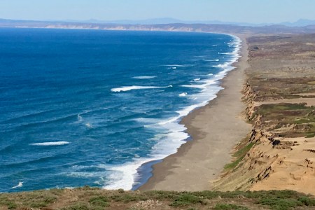 Shark Attack: Search Suspended After Person Pulled Under at Point Reyes National Seashore, Reports Say