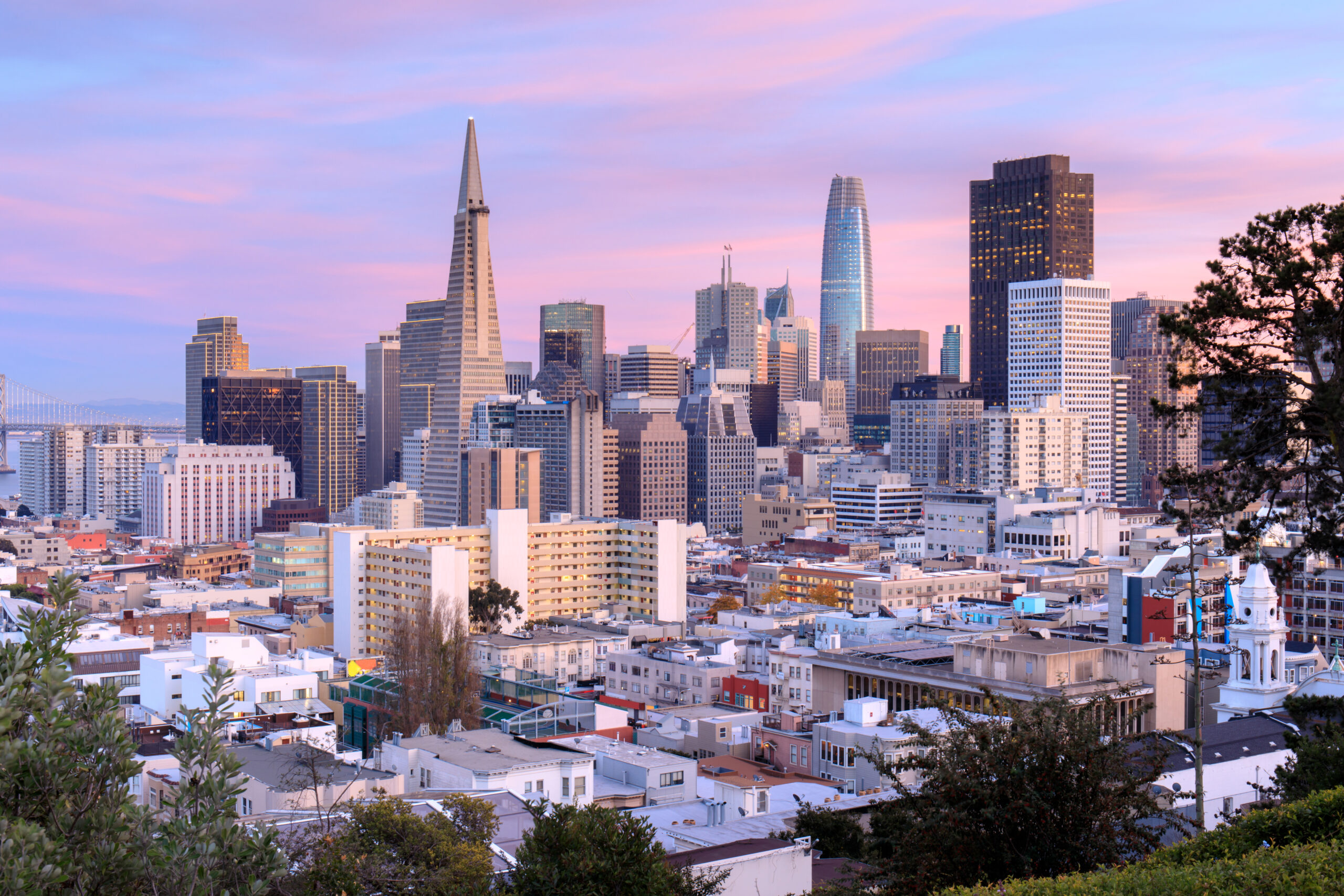What Are The Best Spots for San Francisco Skyline Views?