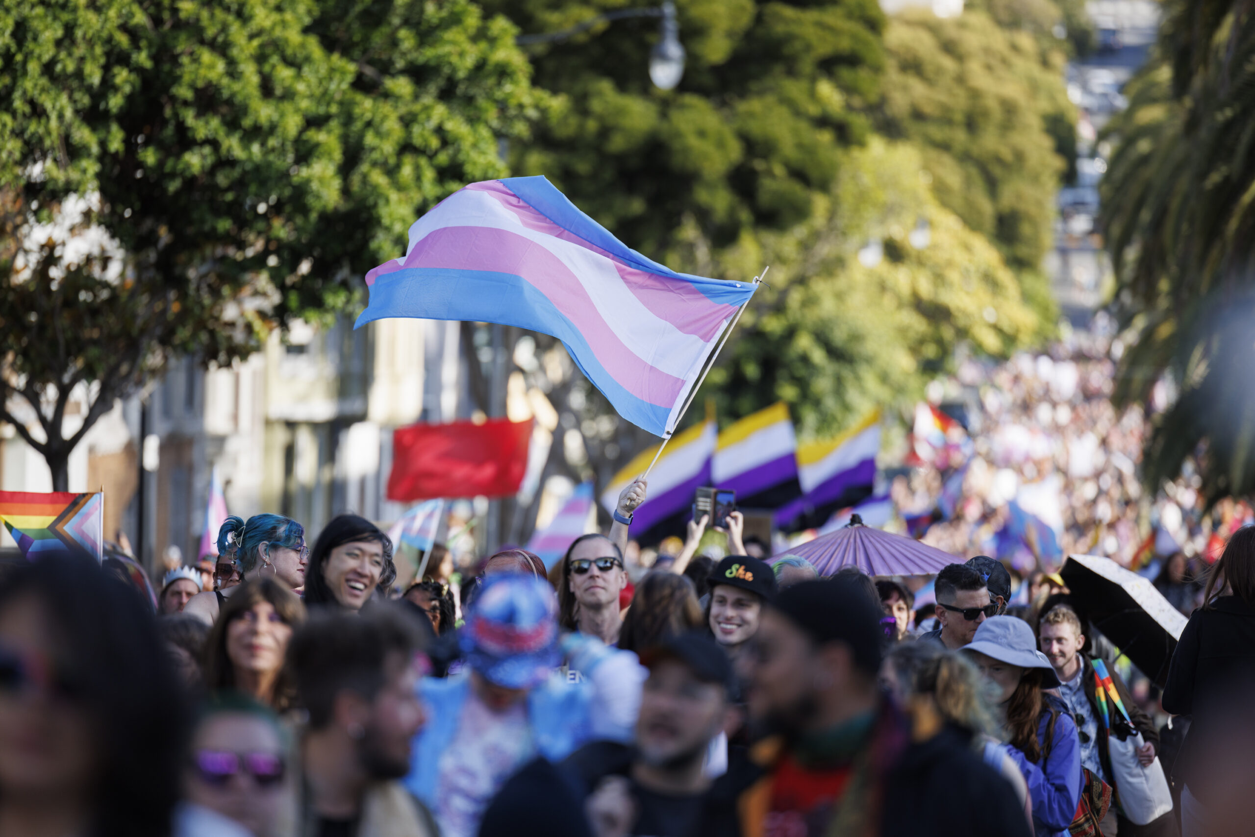 A crowded street with people carrying the trans flag and other colorful flags in a festive atmosphere.