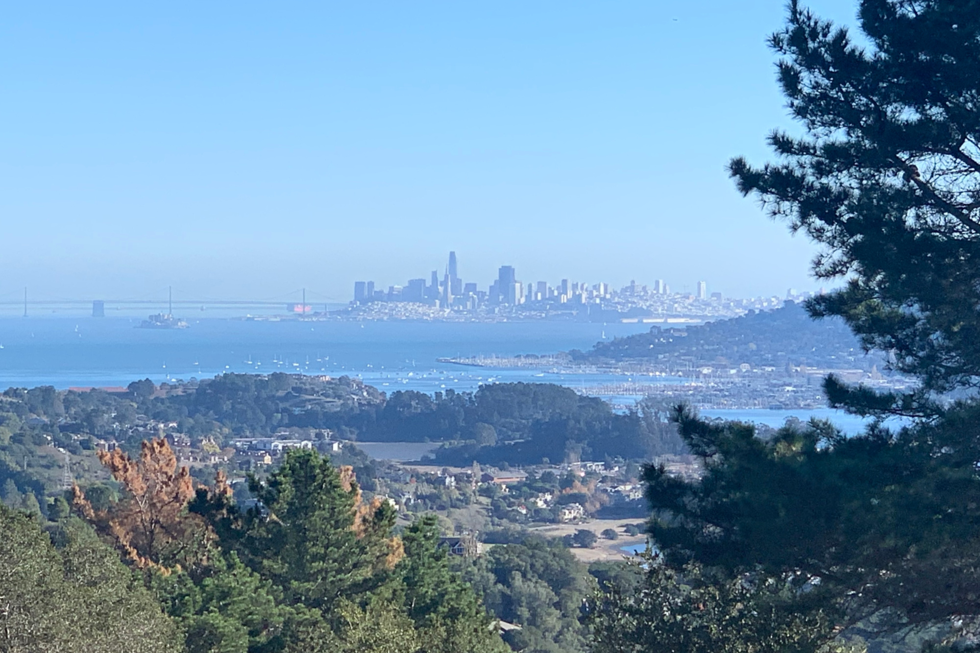 A view from green hills shows the San Francisco city skyline in the distance.