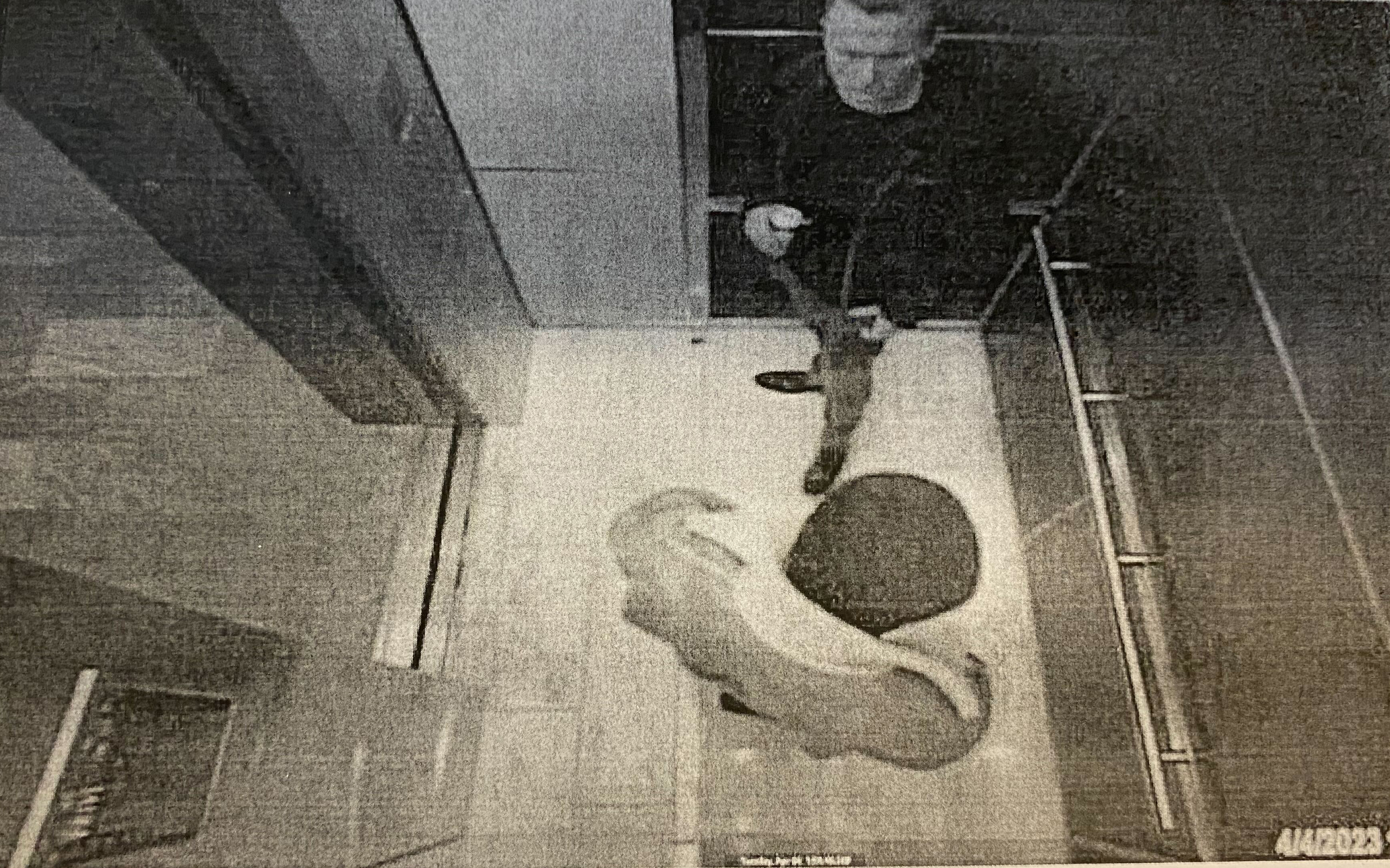 Surveillance photo of two men in an elevator. 