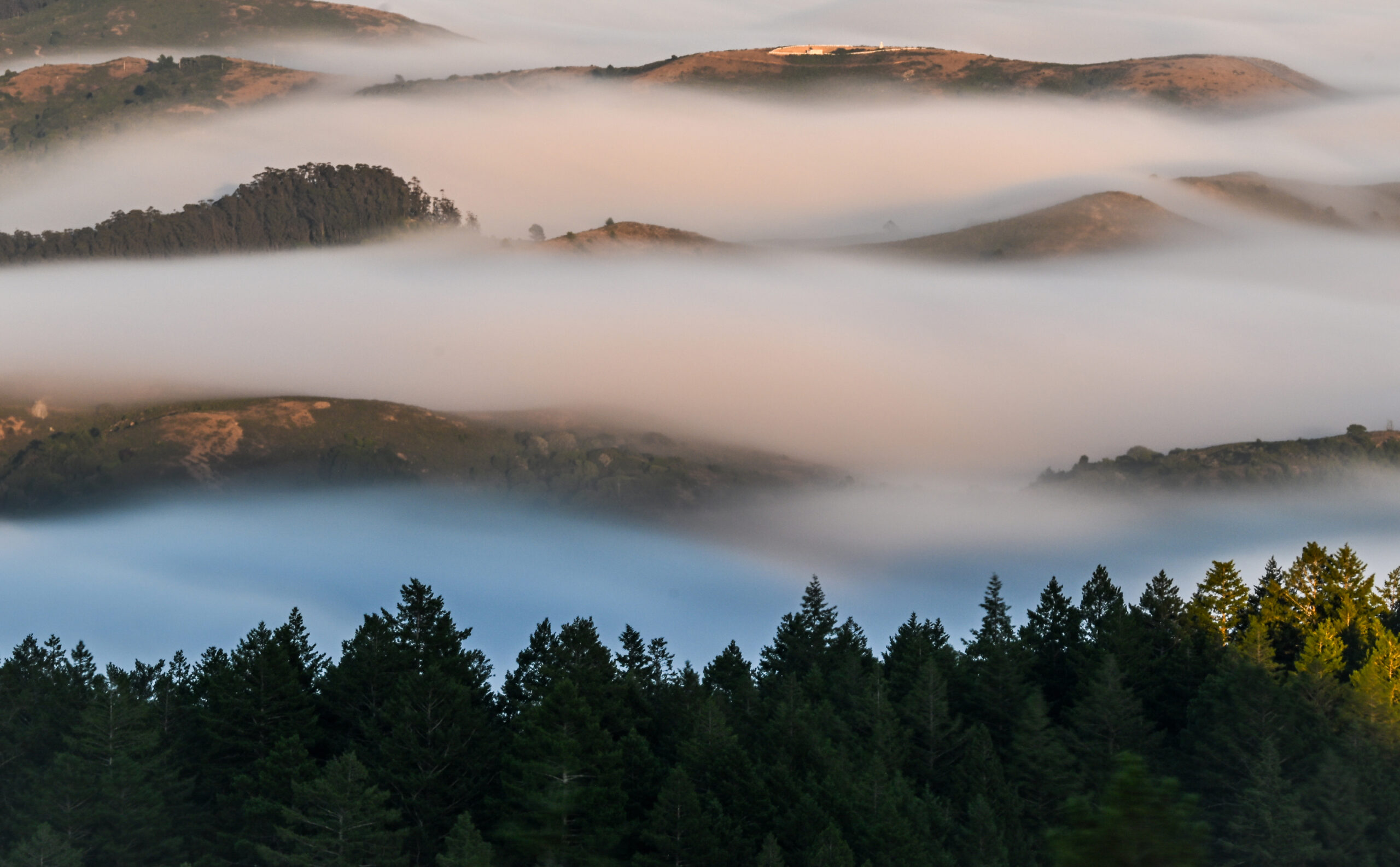 Distant mountains enveloped in low fog with a row of conifers in the foreground