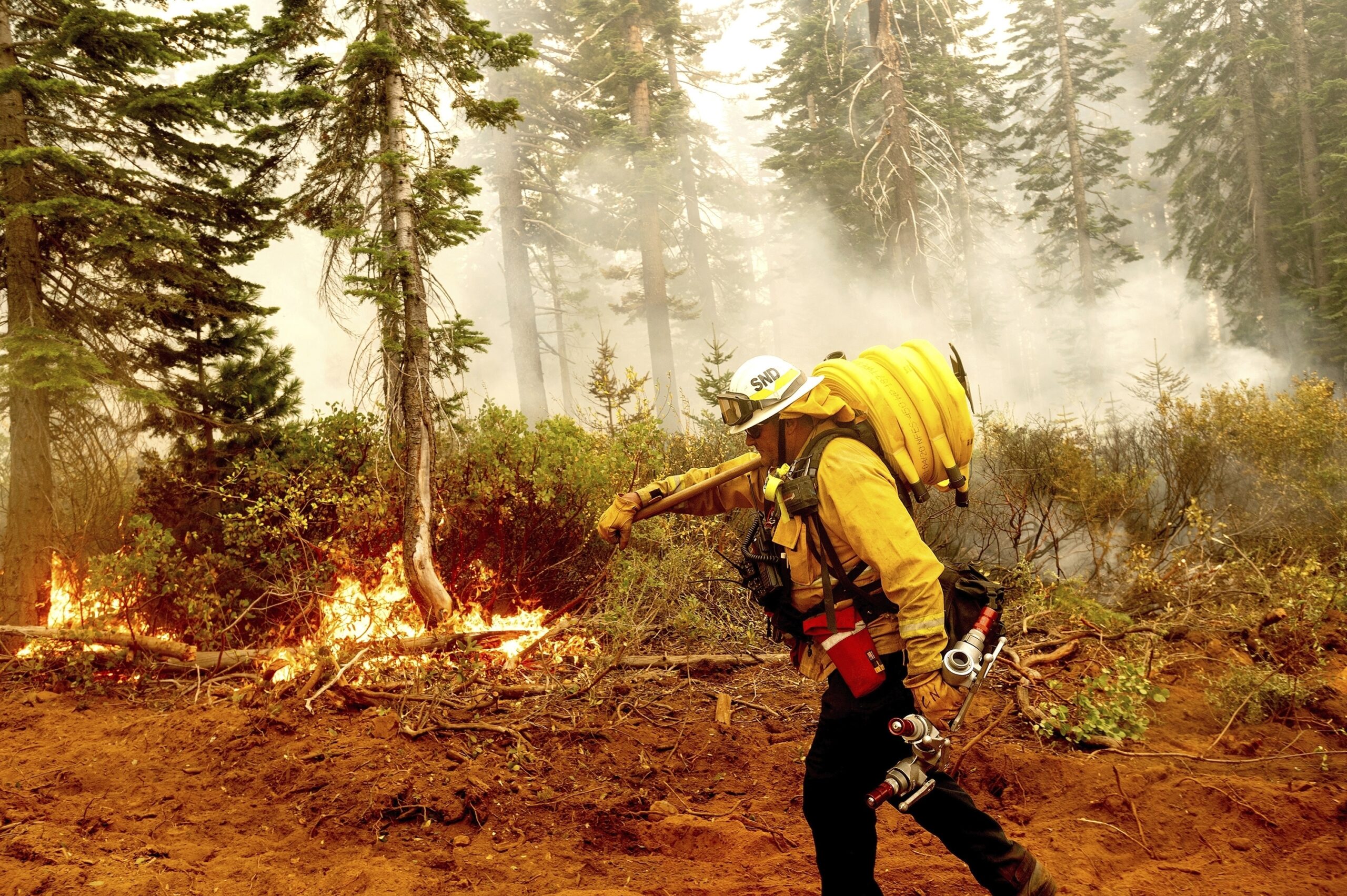 Western States Scramble To Prepare for Worsening Wildfire Season