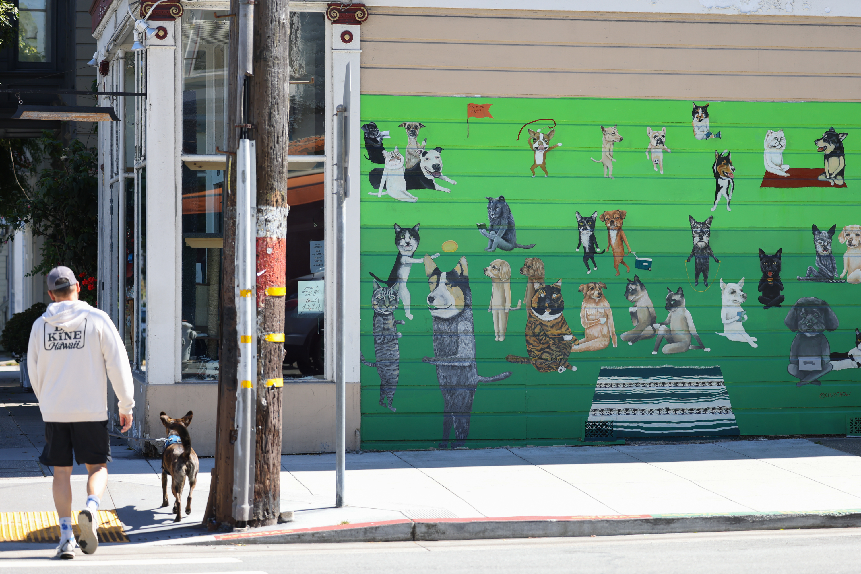 Mural showing more than two dozen cats and dogs