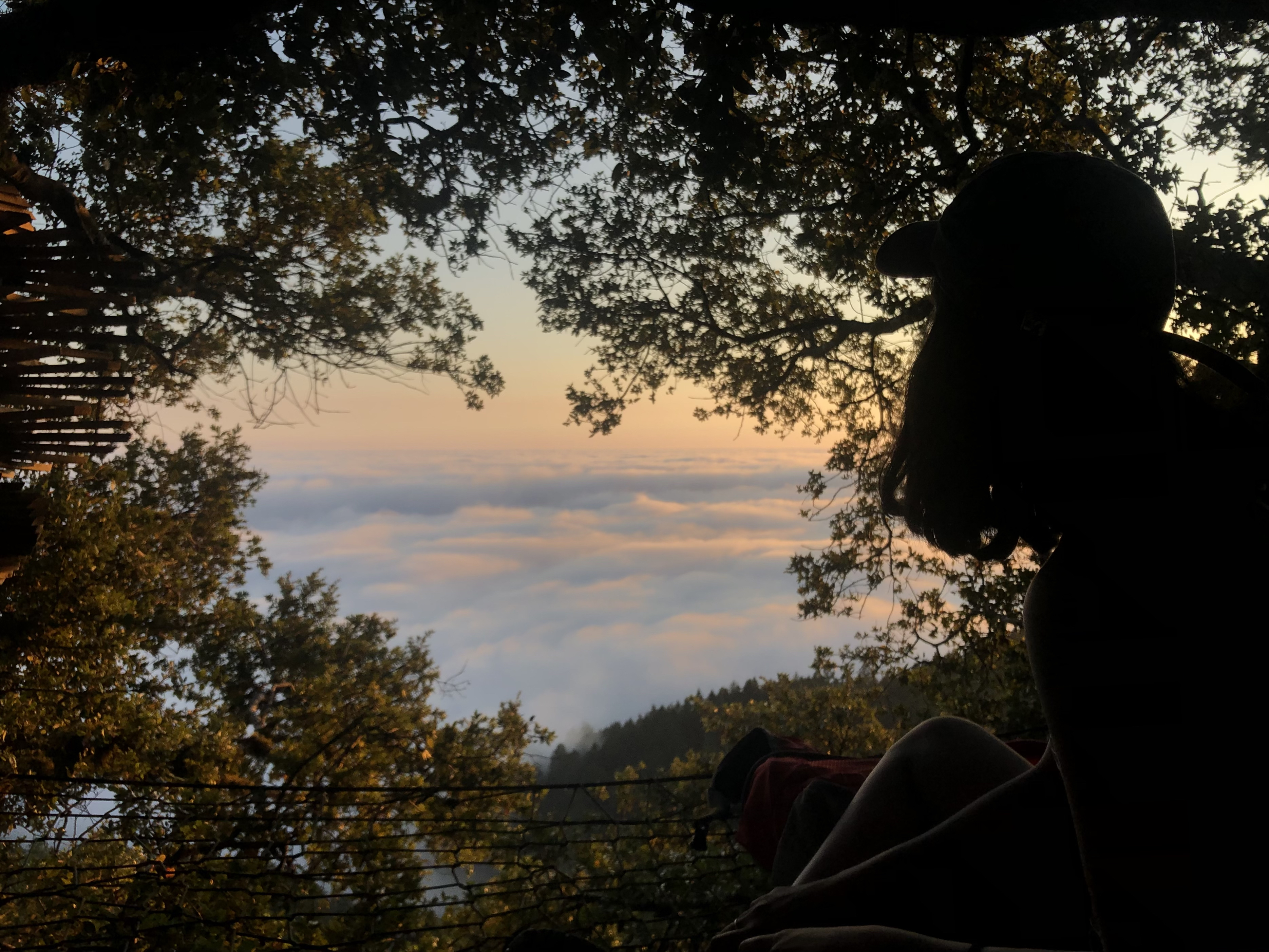 Secret Sky Hammocks on Mount Tamalpais Offer Dazzling Views of the Bay Area