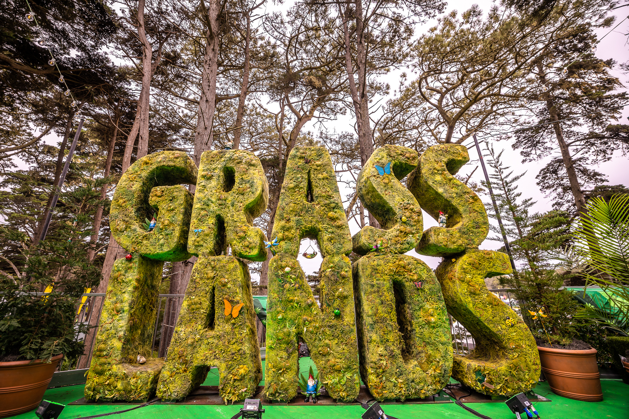 Outside Lands 2023: Cannabis Experience ‘Grass Lands’ Grows Alongside San Francisco Festival