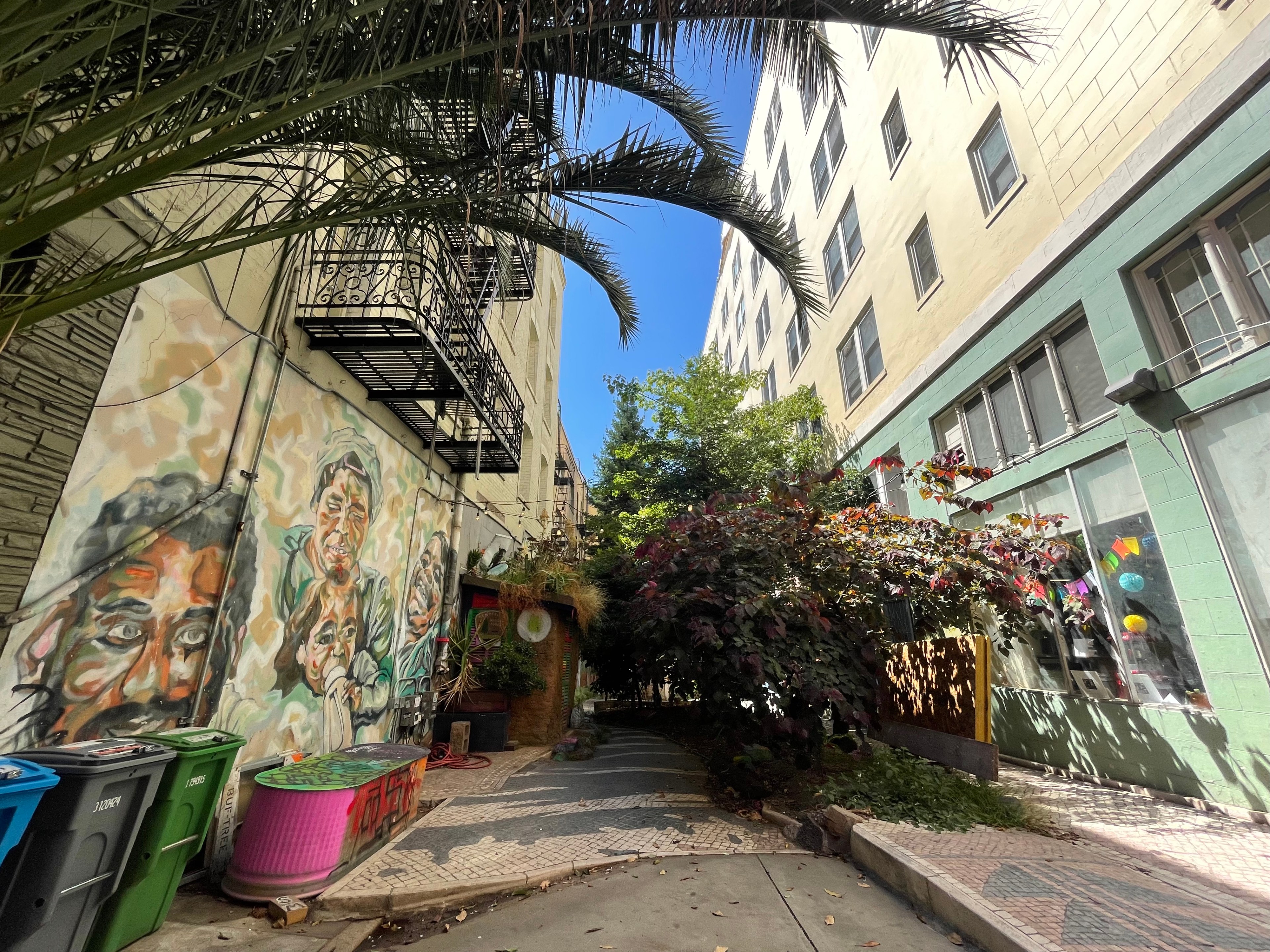 San Francisco To Reopen Tree-Filled Art Oasis in Troubled Neighborhood