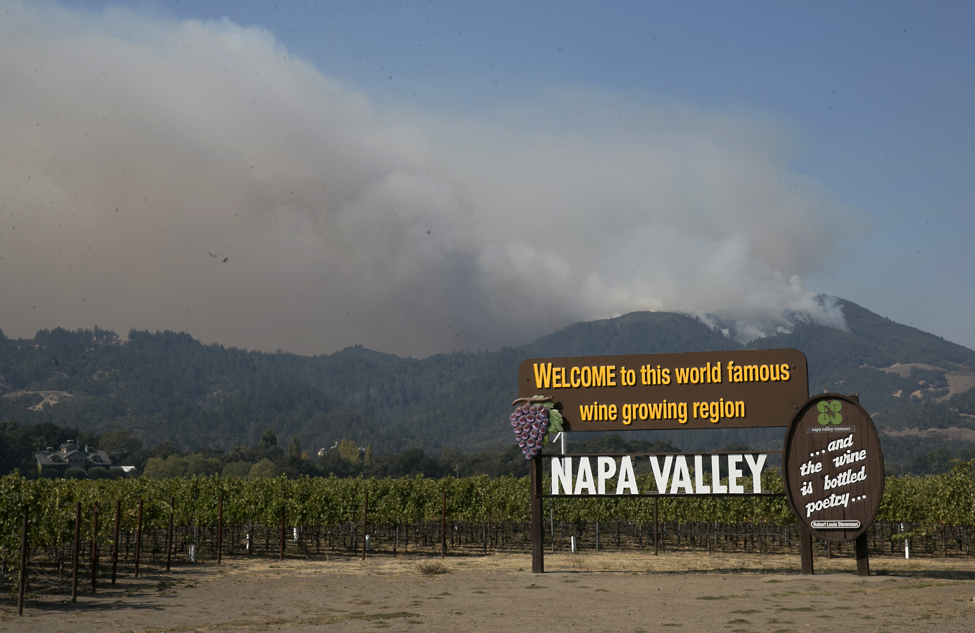 Wildfires Are Hurting the Wine Industry. These Scientists Are on a Mission To Save It