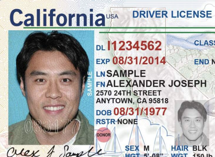 Drivers License