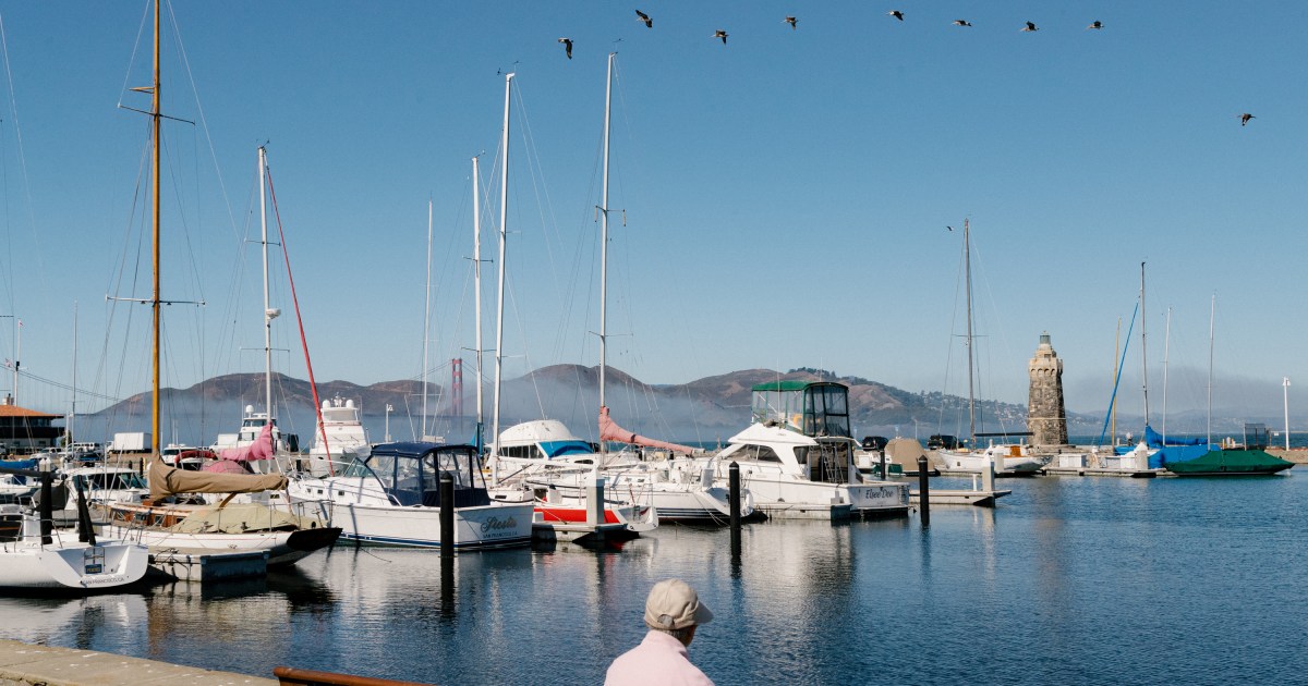 Marina Activists Score Win Against San Francisco Harbor Plan