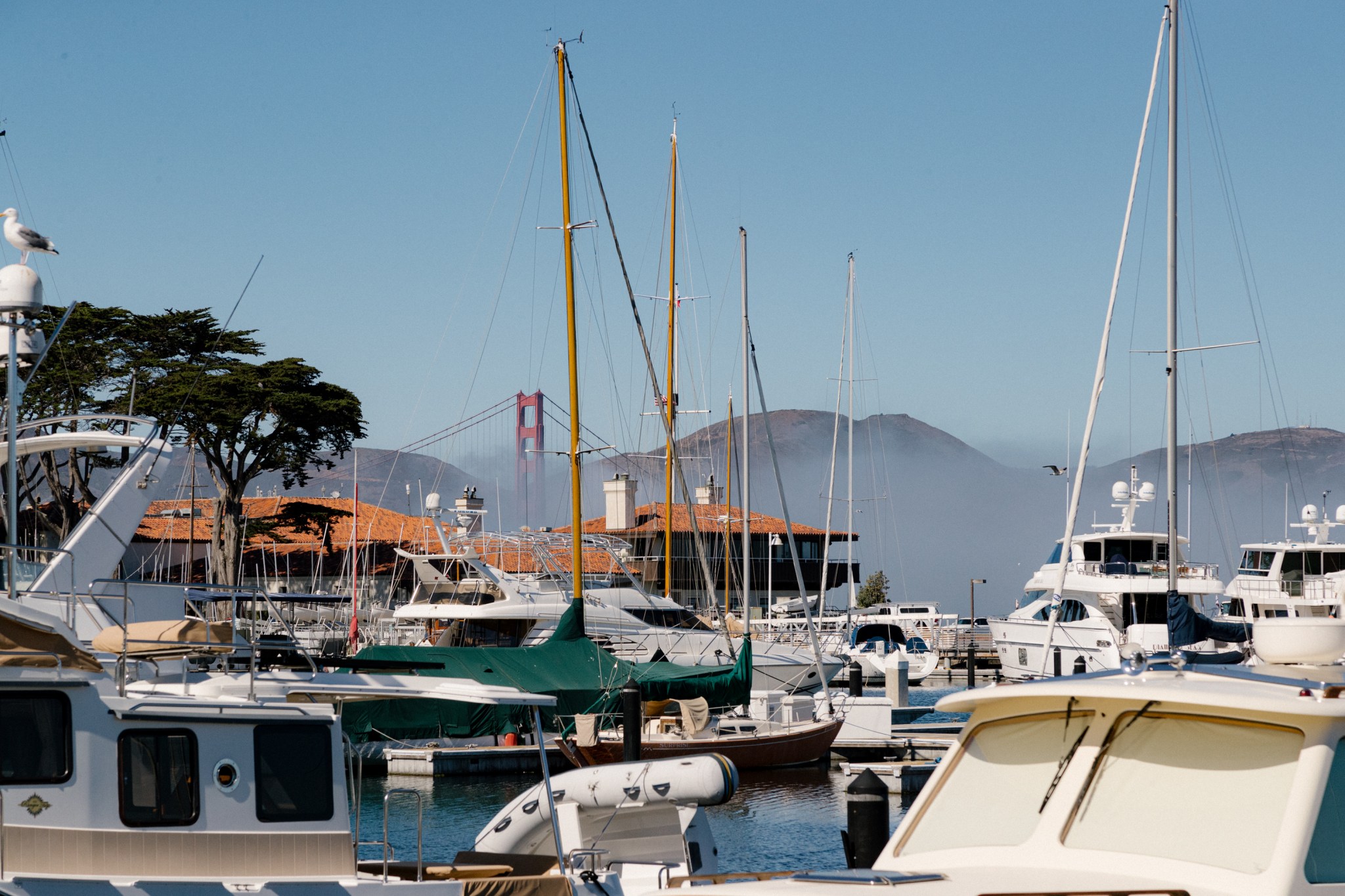 San Francisco boat owners could see berth fees climb by 2025