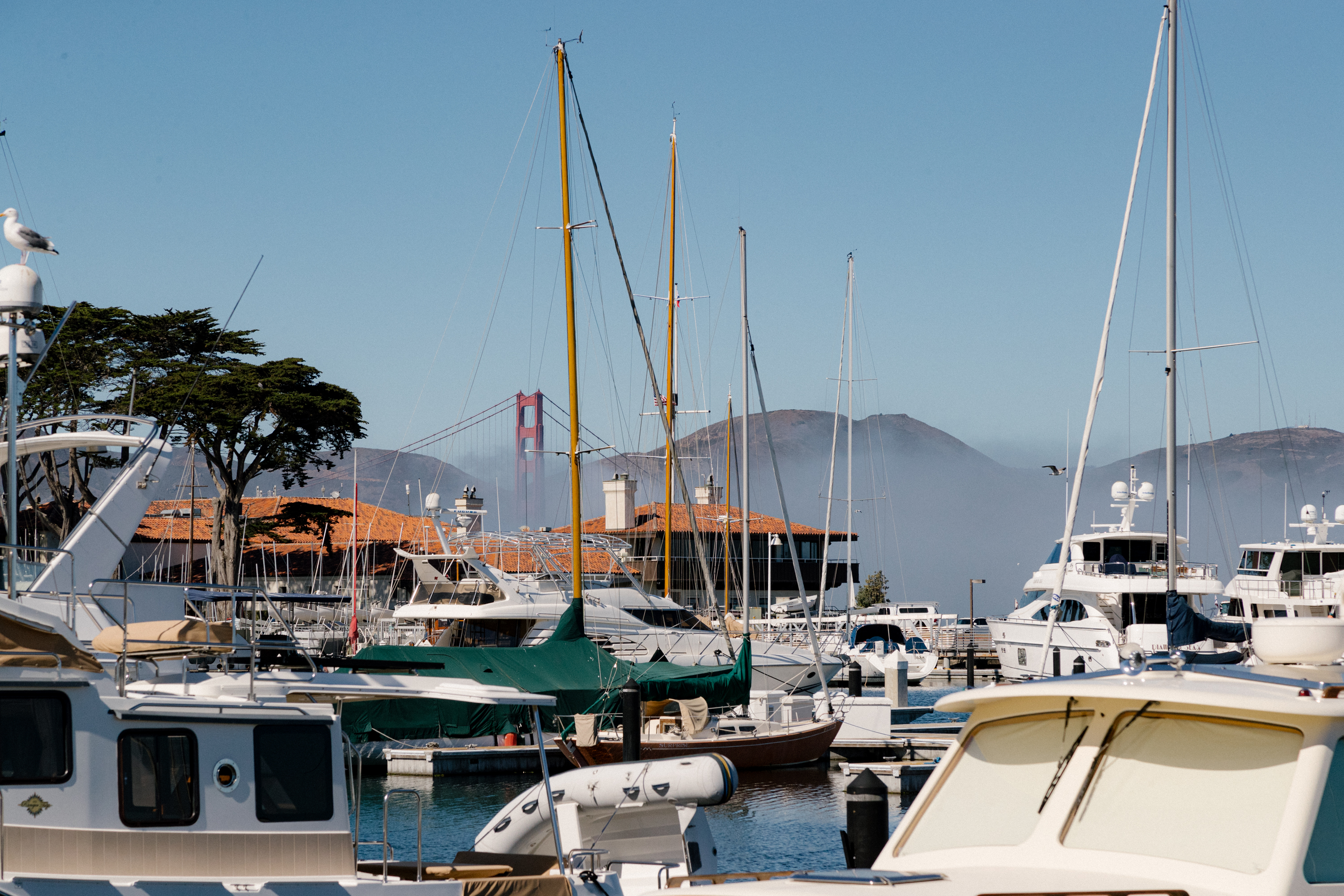 Marina with boats; Golden Gate Bridge in the distance under a clear sky.
