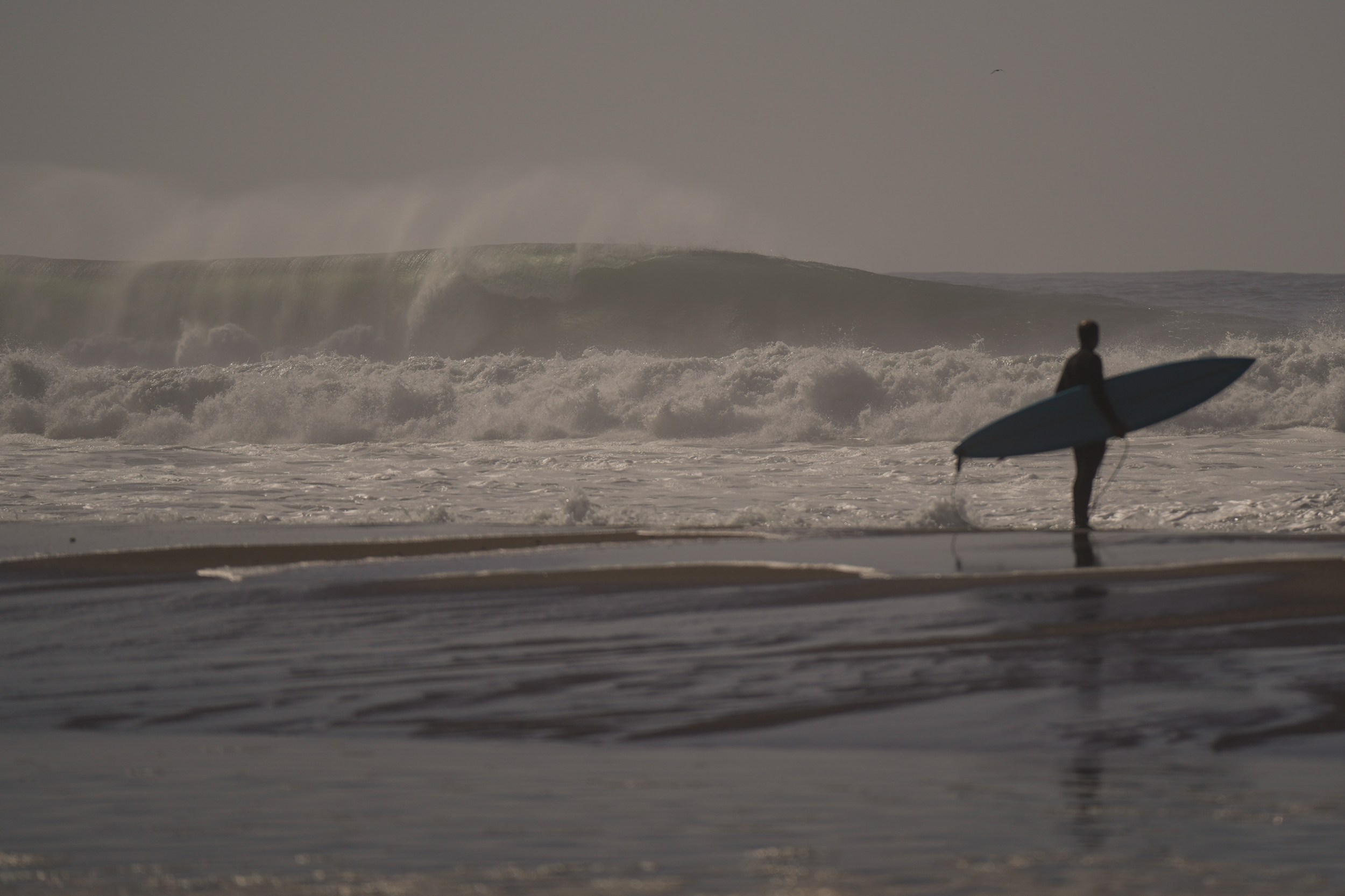 Long Beach gets rare waves with mega swell — and they glowed at