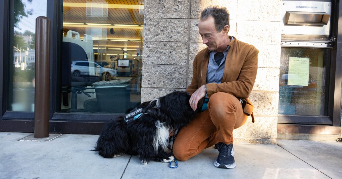 San Francisco Man Sues City After Dog Denied to Library