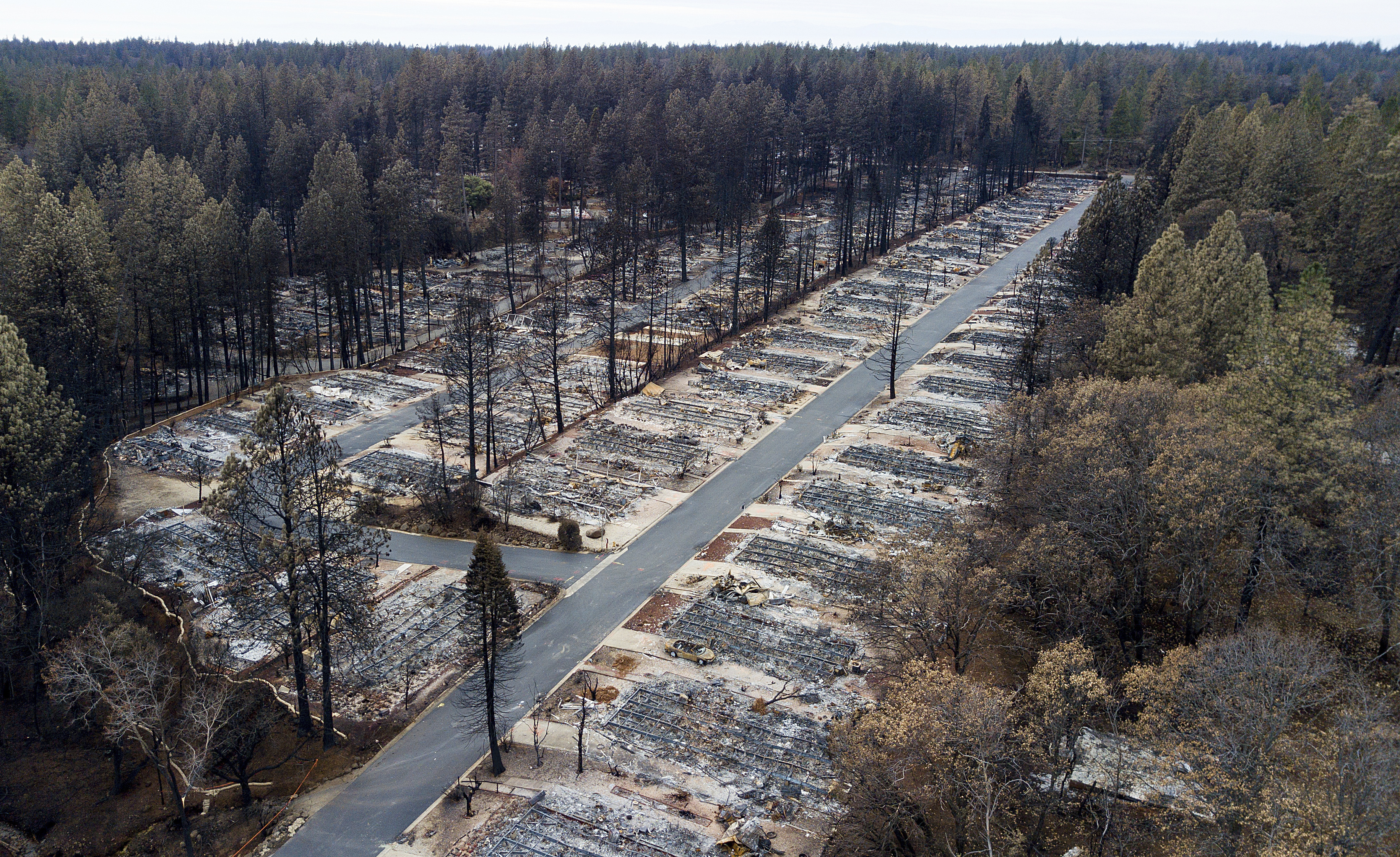 View of a fire-gutted street in Paradise, Calif.