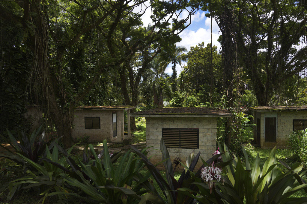 Small brick huts surrounded by tropical trees. 